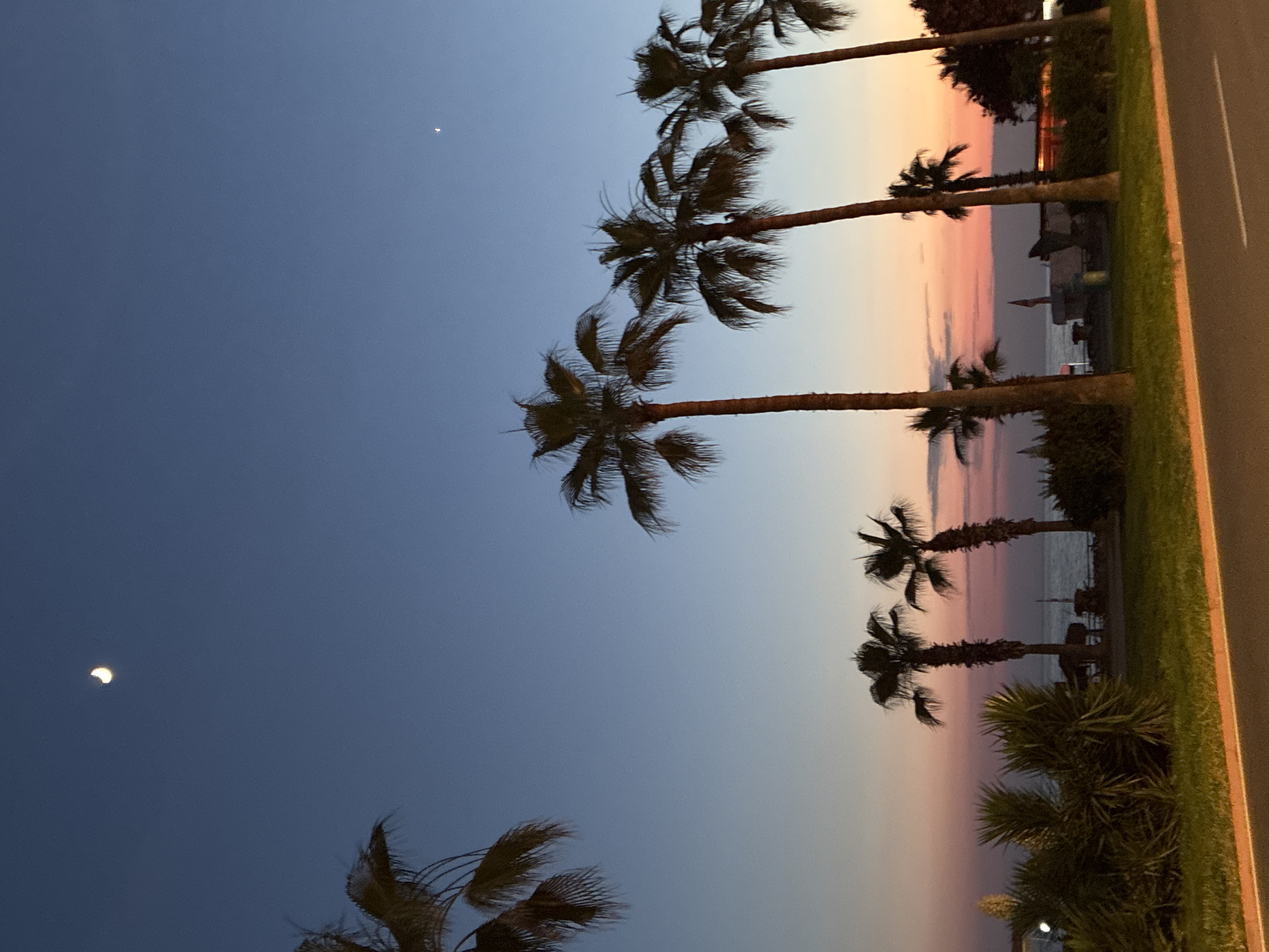 The image depicts a twilight scene along the coast of Alanya, Turkey. A clear, deep blue sky transitions to softer hues of orange and pink near the horizon, indicating sunset or sunrise. The crescent moon is visible in the upper left quadrant of the sky, with a faint star or planet to the right of center.
Several palm trees are silhouetted against the colorful sky. Some are closer to the foreground, with their fronds spread out, while others are further in the distance. In the mid-ground, there is a body of water, presumably the Mediterranean Sea, with gentle waves. Along the shoreline, there are glimpses of vegetation, including dense bushes and some smaller trees. Hints of structures, possibly beach umbrellas or small buildings, can be seen beyond the vegetation.
In the foreground, a paved road with a painted white line runs horizontally across the bottom of the image, suggesting a promenade or street adjacent to the coastline. The overall atmosphere is tranquil and serene, capturing the natural beauty of the Alanya coast during the transitional light of twilight. There are no people or specific actions clearly visible in the image.