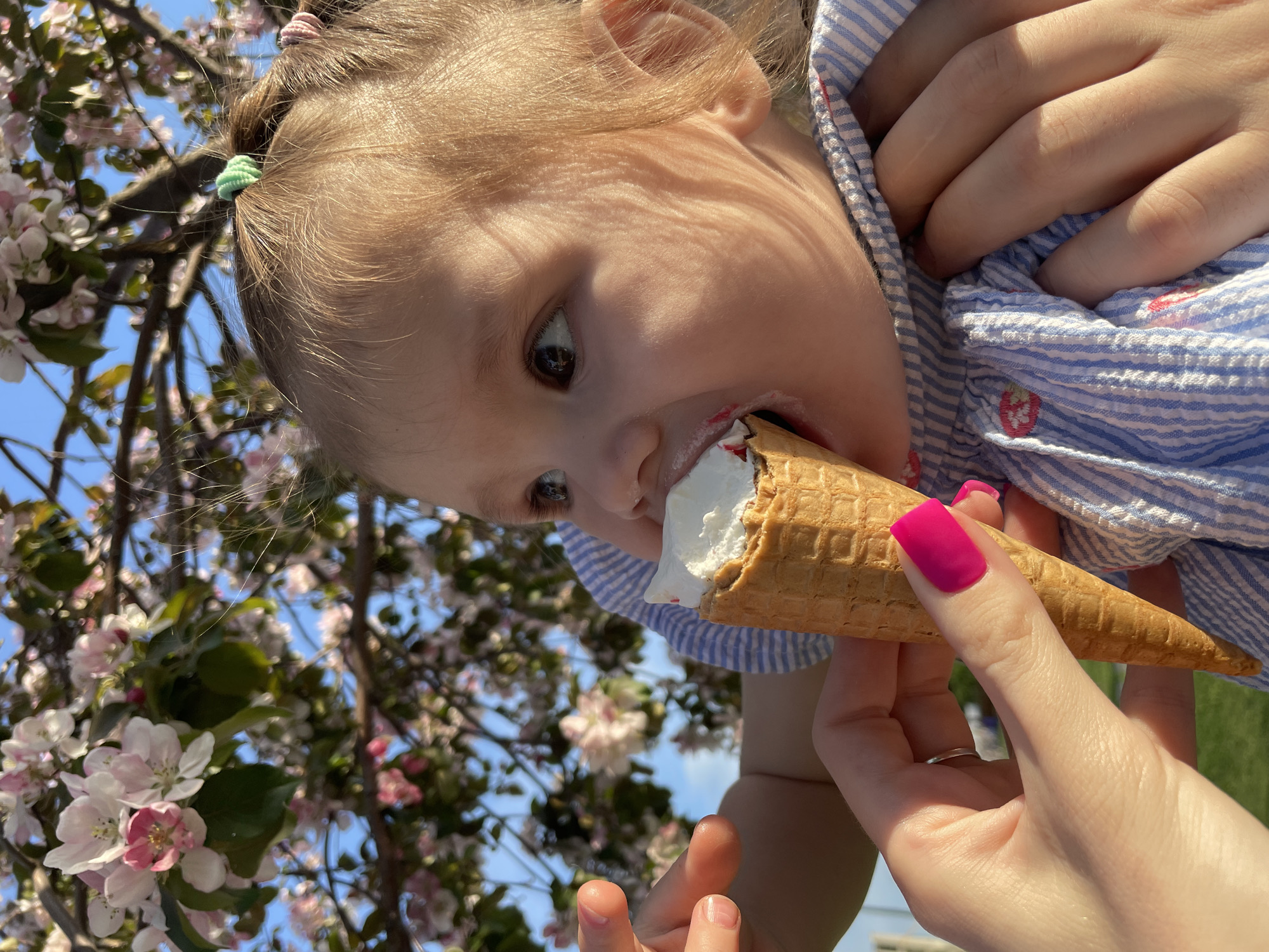 A young child is eating an ice cream cone. The child is being held by a person with bright pink nail polish and a ring on their finger. The background shows blooming trees and a blue sky. The location is not identifiable as Izhevsk, Russia from the visual information provided.