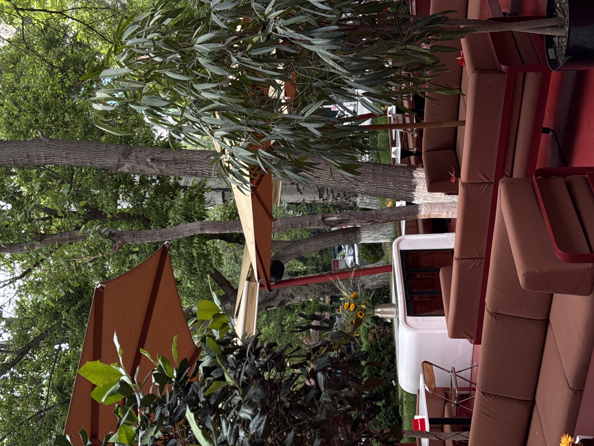The image depicts an outdoor seating area of a restaurant in Yerevan, Armenia. There are brown cushioned couches with red frames arranged in a row, possibly for a lounge area. Tall trees and leafy bushes are interspersed within the seating area, offering shade and creating a natural environment. Brown umbrellas are positioned to provide additional cover. A white structure, resembling a booth or small enclosed room, is visible amidst the seating. There's a table with a "reserved" sign and a chair nearby, and a vase with yellow flowers is also visible. The ground appears to be red, possibly painted or covered. In the background, there are glimpses of other buildings, cars, and pedestrians, suggesting the area is located in an urban environment.