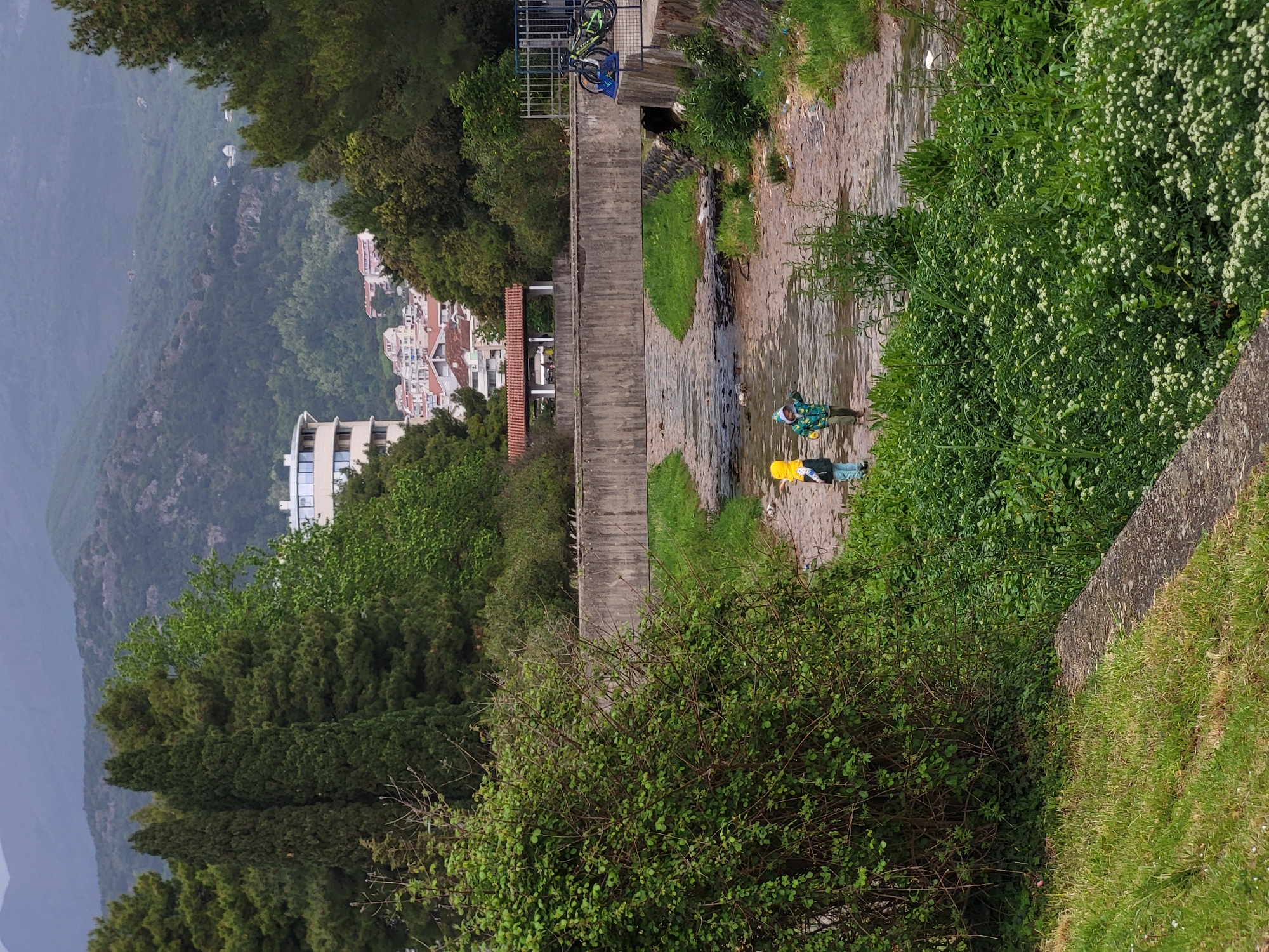 The correctly oriented image displays a verdant outdoor scene encompassing a stream or canal, bordered by lush vegetation and human infrastructure, with a town and mountains in the background.
In the mid-ground, a shallow stream or canal flows, where two individuals are engaged in activity. One person, closer to the viewer's left in the water, wears a green patterned jacket, a blue hat, and blue gloves, appearing to be bent over and interacting with the water. The second person, positioned to the right, is dressed in a yellow top and blue trousers, also attending to the stream, with a small yellow object floating beside them. Adjacent to the stream, a concrete channel or walkway runs parallel. Above this channel, on a higher concrete platform, a green and black mountain bike is parked against a metal fence.
The immediate foreground features a dense mass of green bushes on the left, and a grassy slope meeting a concrete retaining wall on the right. Further into the mid-ground, to the left of the stream and concrete structures, a portion of a town is visible, characterized by buildings with white walls and distinctive terracotta roofs, nestled among abundant greenery.
The background is dominated by a sweeping, hazy mountain range, densely covered in trees, suggesting a vast natural landscape surrounding the urban elements. The lighting appears diffuse, indicative of an overcast day, likely late morning or afternoon, as there are no harsh shadows. There is no visible text. The people's attire and activity suggest maintenance or exploration within the watercourse, set against a scenic backdrop consistent with locations like Budva, Montenegro.