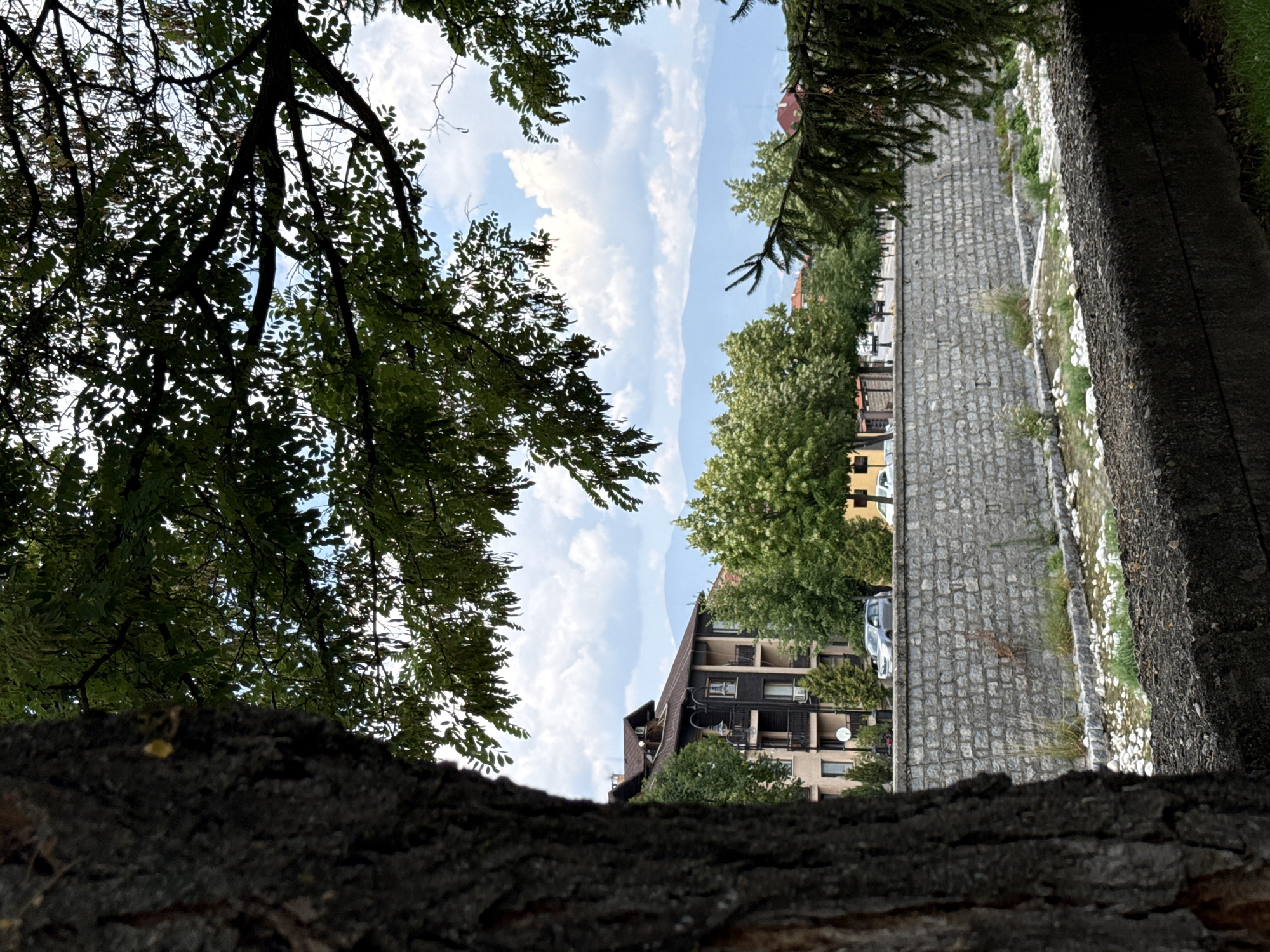 In Bansko, Bulgaria, a tree trunk is prominently featured in the foreground on the left, obscuring part of the scene. Beyond the tree, a stone wall lines a shallow riverbed filled with white rocks and sparse vegetation. Across the river, a multi-story building with a dark facade and lighter-colored balconies is visible, flanked by green trees. Further in the background, more trees and buildings can be seen, leading to a range of blue mountains under a cloudy sky. A few cars are parked on the street behind the stone wall.