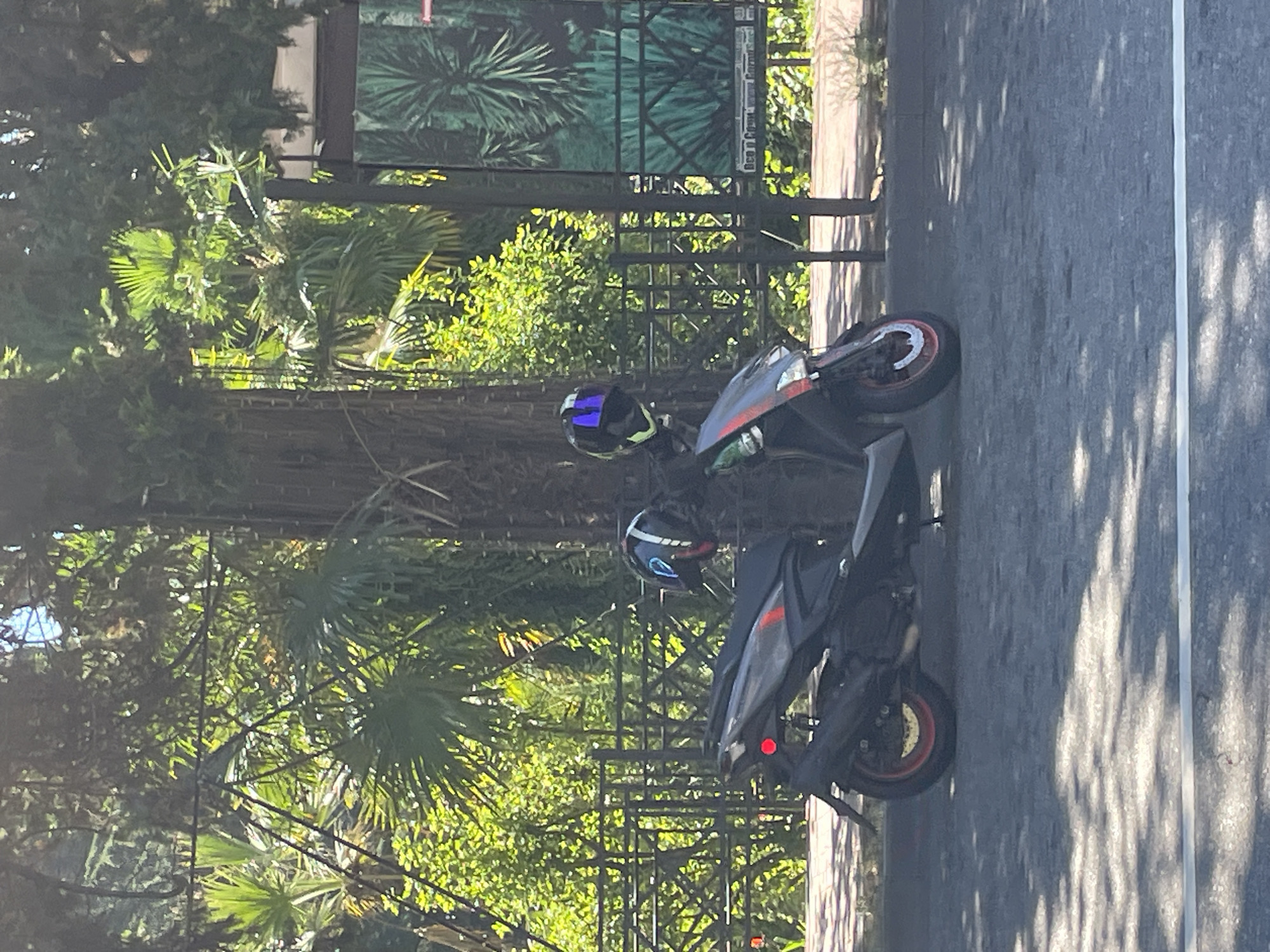 An unidentifiable person's parked scooter is leaning against a tree on a sidewalk, with two helmets placed on the handlebars. The scooter is dark gray with red accents and has a red taillight. One helmet is black with a blue and purple visor, and the other is black with a blue visor. The background shows lush green foliage, palm trees, and a fence, suggesting a warm climate. A poster board with an image of palm fronds is visible to the right. The image captures a sunny day with dappled sunlight filtering through the trees onto the pavement. The scene is indicative of a location in Sochi, Russia, known for its subtropical climate and coastal vegetation.