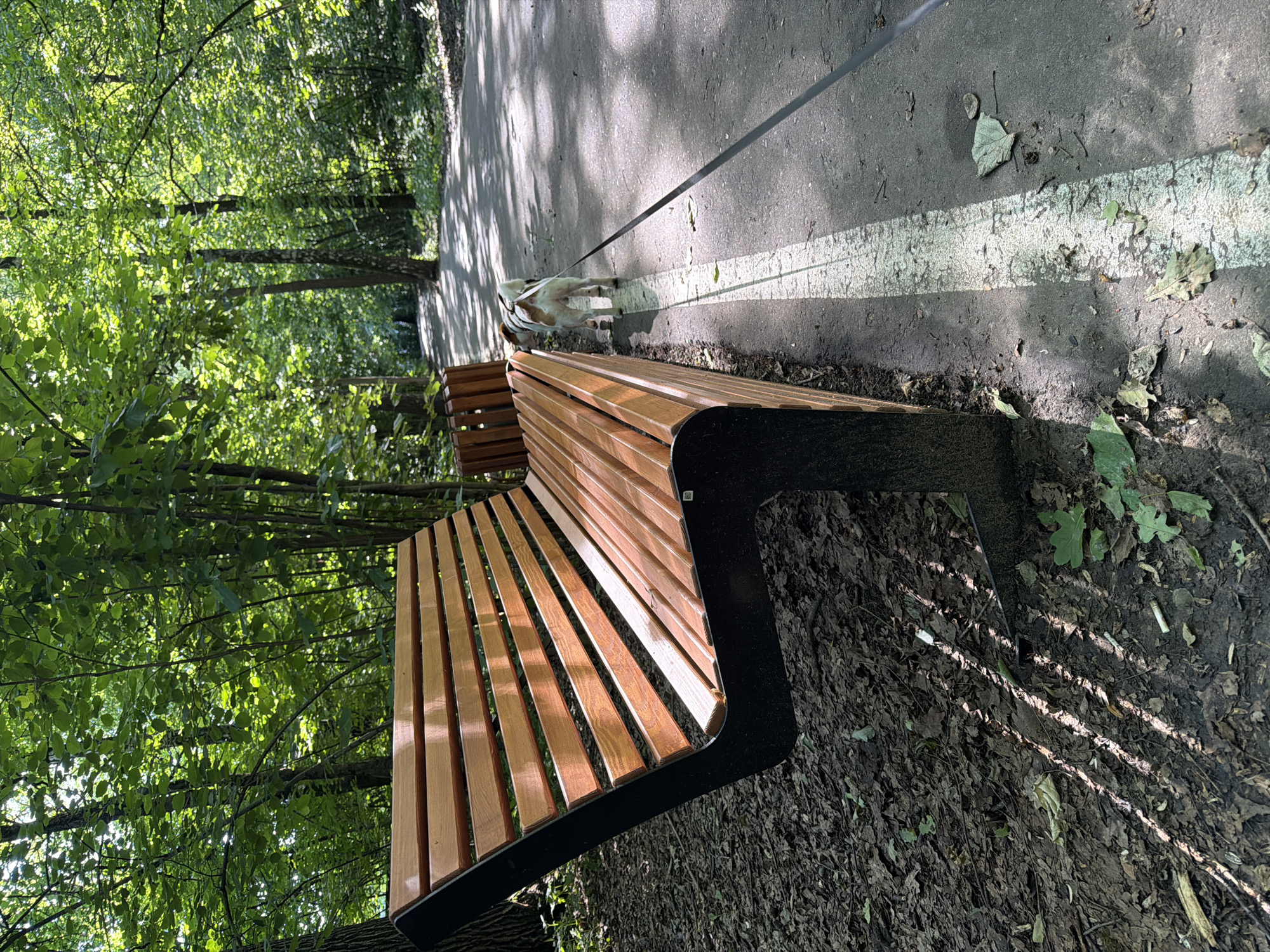 In a sun-dappled park, a modern wooden bench with black metal legs sits on a ground covered in fallen leaves. A paved path with a white line runs alongside the bench. A small dog on a leash stands on the path, facing away from the viewer. Trees with lush green foliage line the path, creating a serene natural setting within a park.