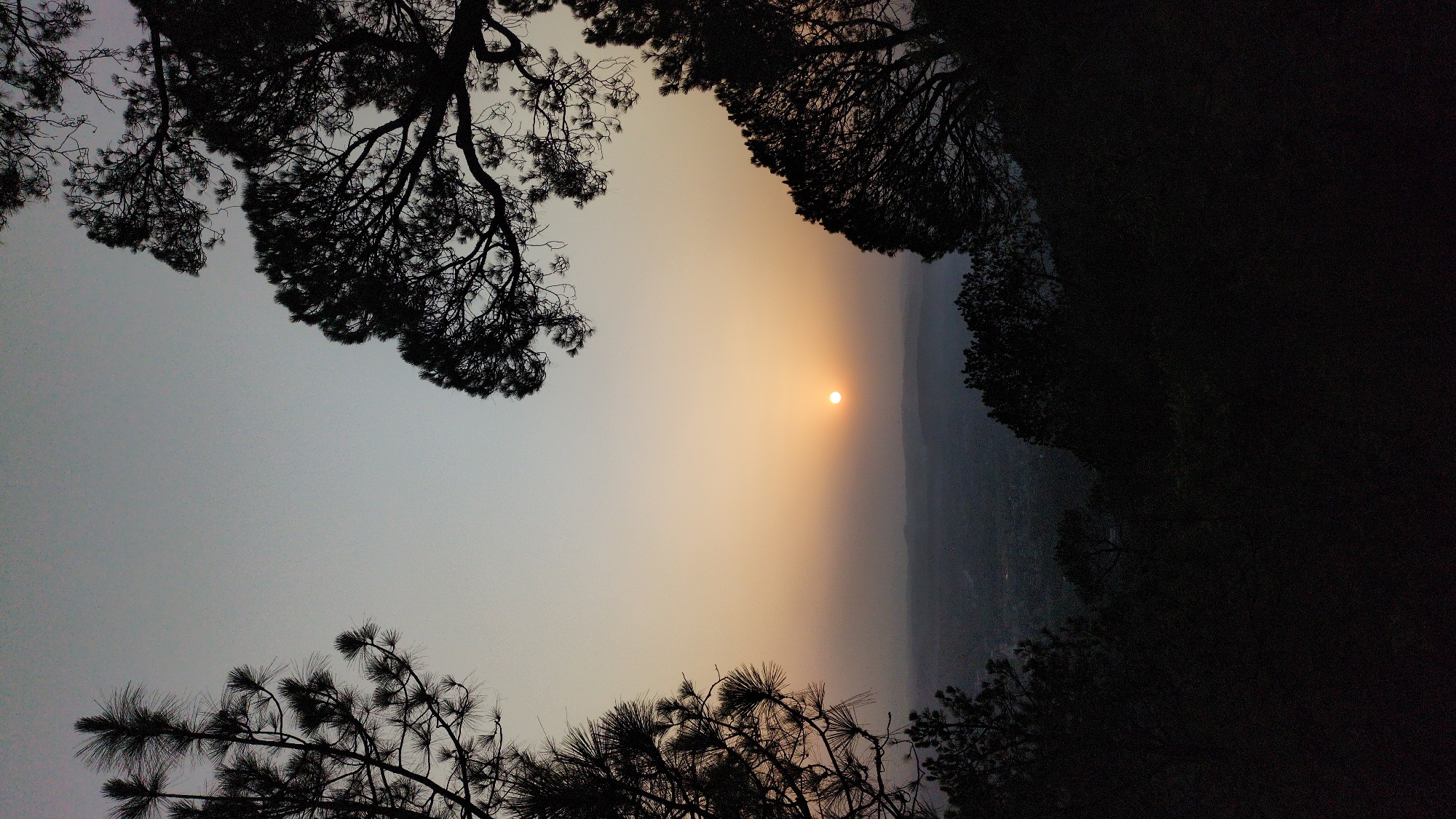 The image captures a hazy sunset viewed through silhouetted trees, likely from an elevated position near Barahamtheru, India. The sun is a bright disc against a sky graded from light yellow to grey. Below the horizon, the landscape fades into a misty haze, obscuring details of the terrain. The darkness of the silhouetted trees frames the shot, providing a contrast to the lighter sky. No people, animals, or specific objects are visible apart from the trees and the landscape in the distance.