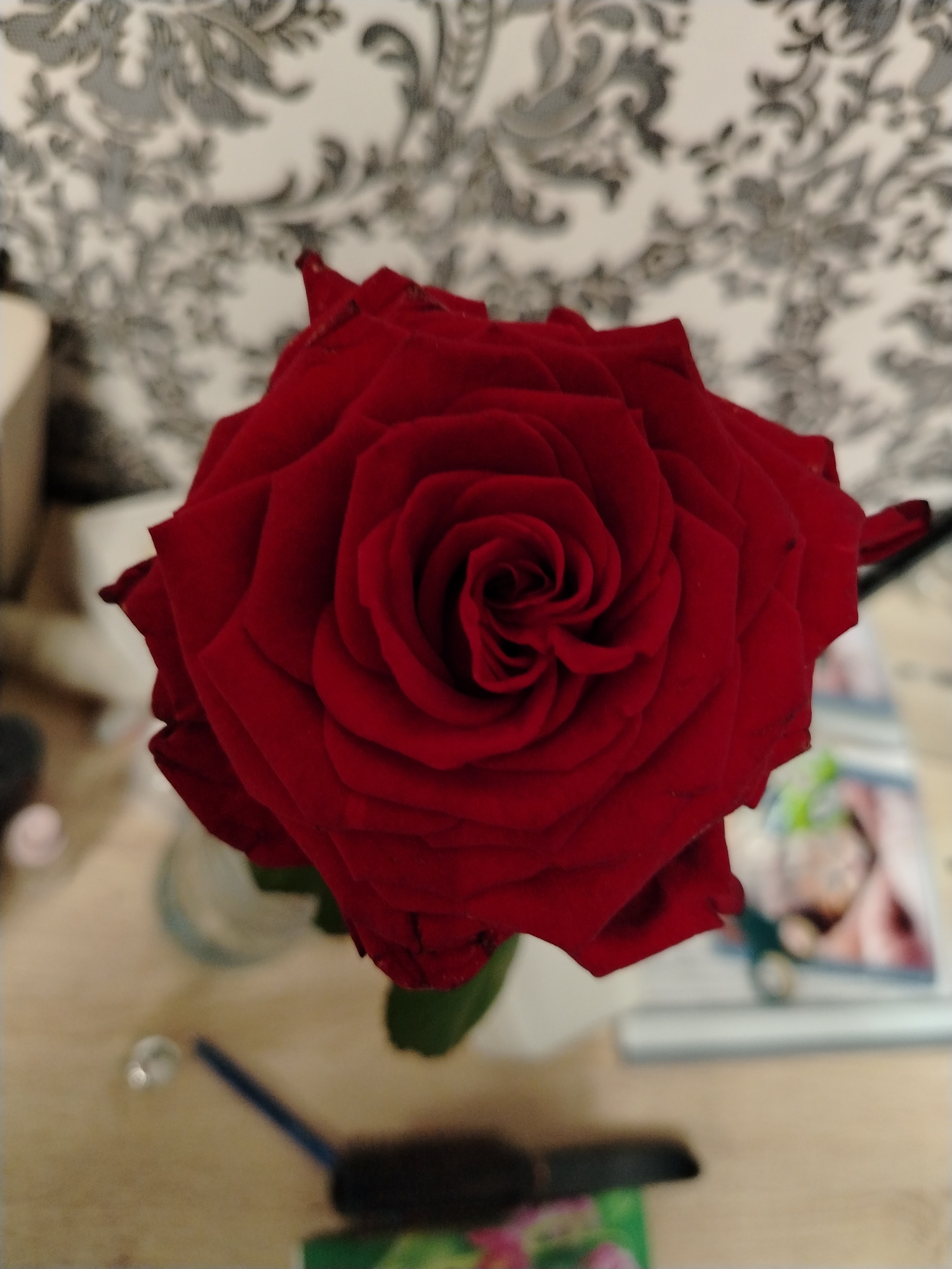 A close-up photograph shows a red rose in full bloom. The rose is the central focus, displaying its tightly wound petals in a spiral pattern. The background is blurred, but wallpaper with a repeating floral or damask pattern is visible. The flower is sitting on a light-colored surface with assorted items including a pen, a small vial and what looks like a book, out of focus. There is no way to infer a specific location within Chaikovsky, Russia from the provided image. There is no evidence of people within the image.