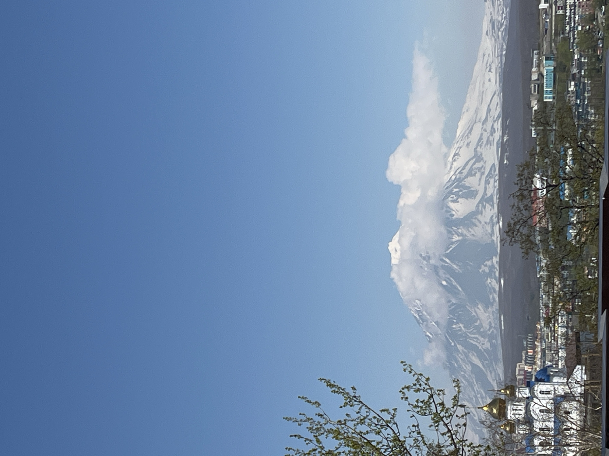 The image presents an outdoor scene in Petropavlovsk-Kamchatsky, Russia, captured during daylight under a clear blue sky. A prominent snow-capped volcano, partially obscured by white clouds around its peak and upper slopes, occupies the central background. Below the volcano, the city's urban environment is visible, comprising numerous buildings of various architectural styles and colors. In the lower-left foreground, a white Orthodox church with three golden onion domes and blue roofs is distinctly featured. Sparse, leafless or budding deciduous trees are present in the immediate foreground on the left, and also scattered across the midground, partially framing the cityscape. No human figures are present within the frame. The scene is brightly illuminated, indicating clear weather conditions.