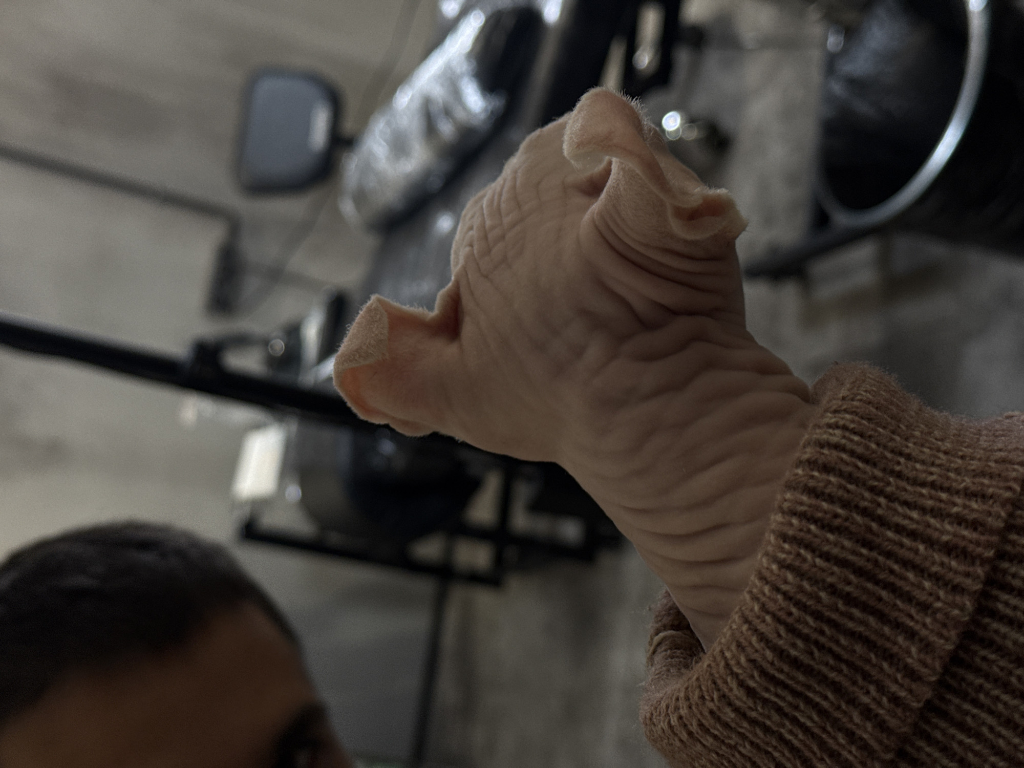 A close-up shot depicts a human hand contorted to resemble a pig's snout, with folds of skin mimicking wrinkles. The hand is partially covered by a brown knitted sleeve. In the background, a blurred environment suggests an indoor setting. Visible elements include a wall, possibly concrete, and various pieces of equipment or machinery.
I cannot determine the location is in Moscow, Russia.