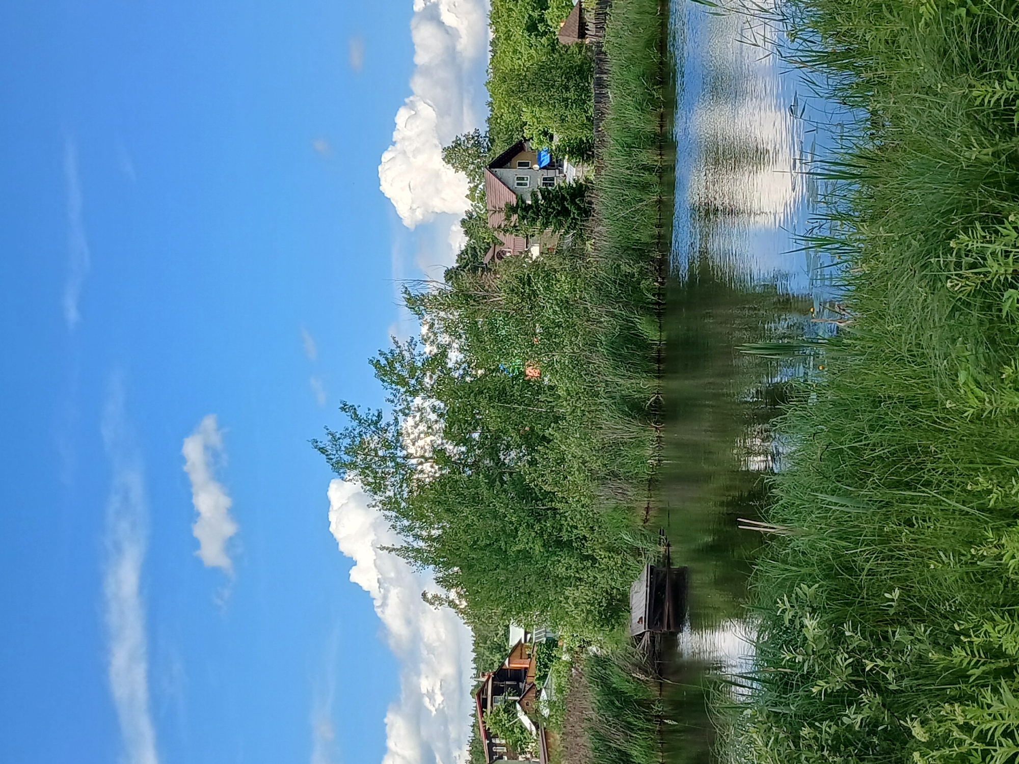 The image depicts a tranquil riverside scene under a bright blue sky dotted with fluffy white clouds. The foreground is dominated by lush green grass and reeds growing along the water's edge, with a calm body of water reflecting the sky and surrounding vegetation. In the middle ground, a small wooden dock is partially submerged in the water, appearing weathered.
Beyond the water, a dense line of trees forms a backdrop. Peeking through the trees, several houses can be seen, suggesting a residential area bordering this natural landscape. The architecture of the houses appears to be varied, with some featuring traditional wooden elements and others with more modern designs. The overall impression is one of a peaceful, semi-rural setting, likely a dacha or summer house area.
The scene is set in the city of Yekaterinburg, Russia, as confirmed by the metadata. This location implies a climate with distinct seasons, and the greenery suggests it is likely late spring or summer. There are no people or animals visible in the image, and no particular actions or interactions are taking place. The focus is on the natural environment and the integration of human dwellings within it.
