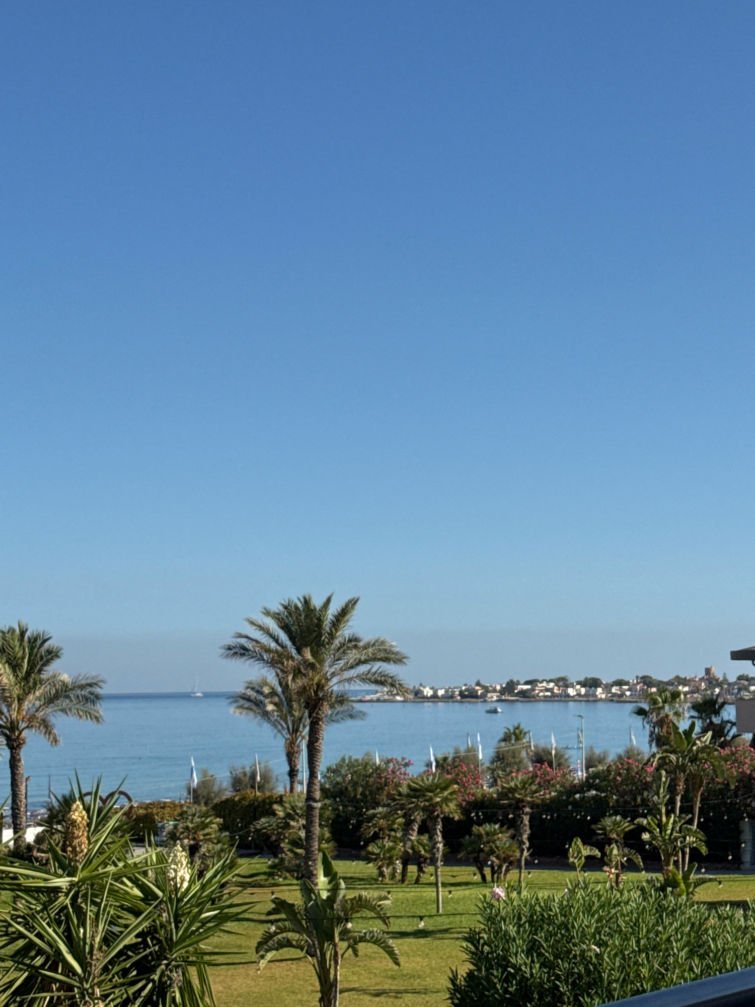 The image depicts a coastal scene in Isola delle Femmine, Italy, under a clear blue sky. In the foreground, lush green grass is interspersed with various types of foliage, including palm trees with their characteristic fronds, and other leafy plants. Two notable plants in the center foreground are tall and spiky, with what appear to be dried flower stalks. Further back, a line of palm trees and flowering bushes with pink blossoms creates a vibrant border.
Beyond this green expanse, the calm, blue sea stretches to the horizon. A small white sailboat is visible on the water in the distance. Along the coastline, a town or village with buildings of various sizes and colors is nestled, with some structures appearing to be on elevated ground. The overall impression is one of a peaceful, sunny day in a Mediterranean setting. There are no people visible in the image.