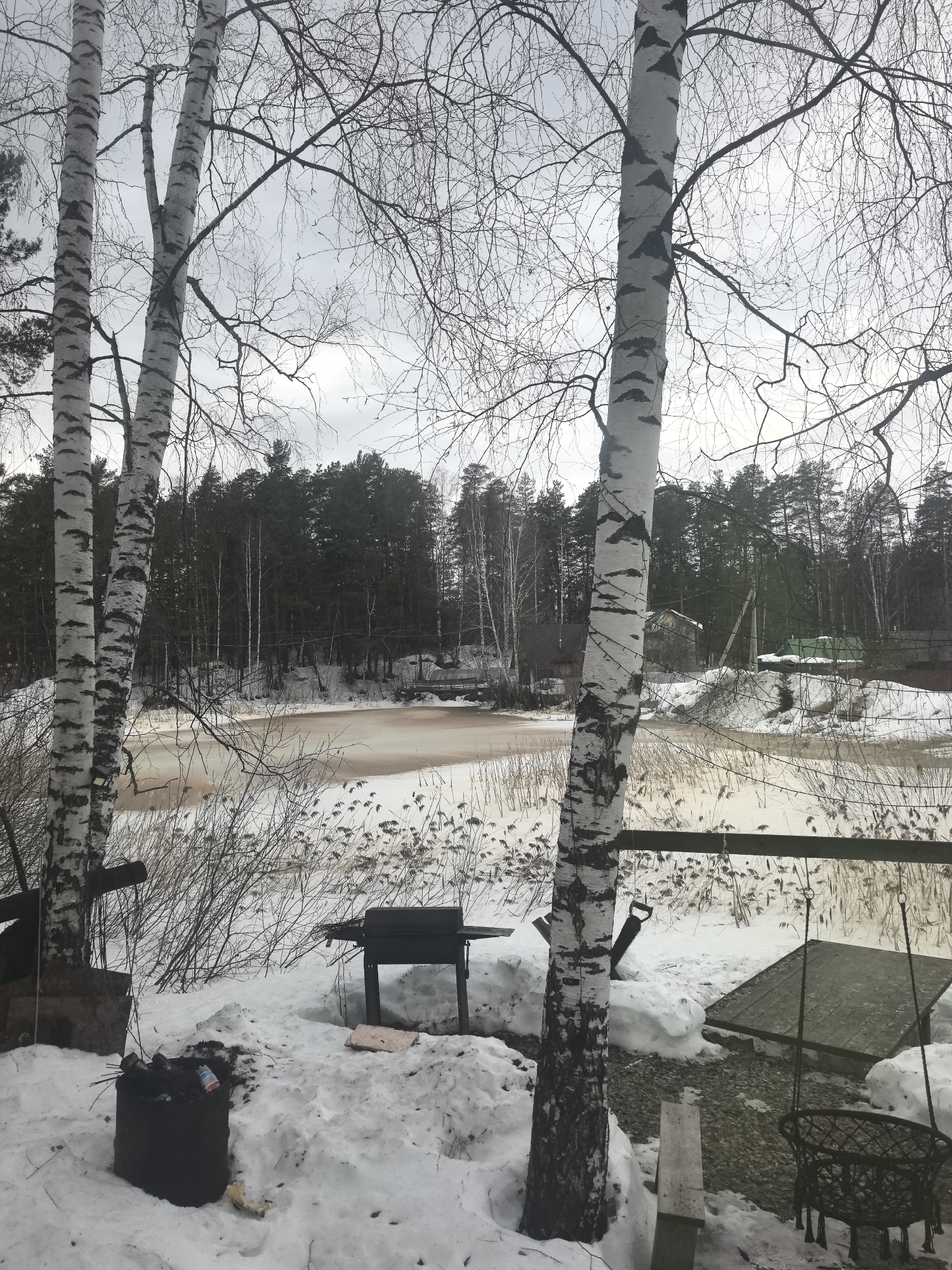 The scene depicts an outdoor area in Noviy, Russia, during a winter or early spring period. The ground is covered in uneven patches of snow and exposed dirt. Two prominent birch trees with distinctive white bark and black markings stand in the immediate foreground, their branches bare against an overcast, light grey sky. To the left of the central birch tree, a dark, cylindrical metal barrel, possibly a burn barrel, is partially filled with debris including cans, sticks, and plastic, surrounded by snow. To the right of the left birch tree, a black charcoal grill on a stand is positioned on the snow, with a light-colored object resembling packaging or food scraps on the ground nearby. Further right, a dark, woven hanging chair or swing is suspended from ropes, partially visible. A rectangular wooden board or platform lies on the snow to its left, and a hand saw is visible on the snow behind it.
Beyond the immediate foreground, a partially frozen or slushy body of water, likely a river or pond, extends across the midground. The water's surface exhibits a light brown or orange coloration, with areas of darker, possibly open water. Tall, dry reeds and grasses protrude from the snow and water along the banks. On the far bank, dense coniferous and deciduous forests dominate the background. Scattered among the trees and snow on the distant bank are several structures, including a small, dark wooden bridge to the left, and further to the right, a building with a distinct green roof and utility poles. No individuals are present in the scene, and no active human interactions or ongoing actions are depicted.
