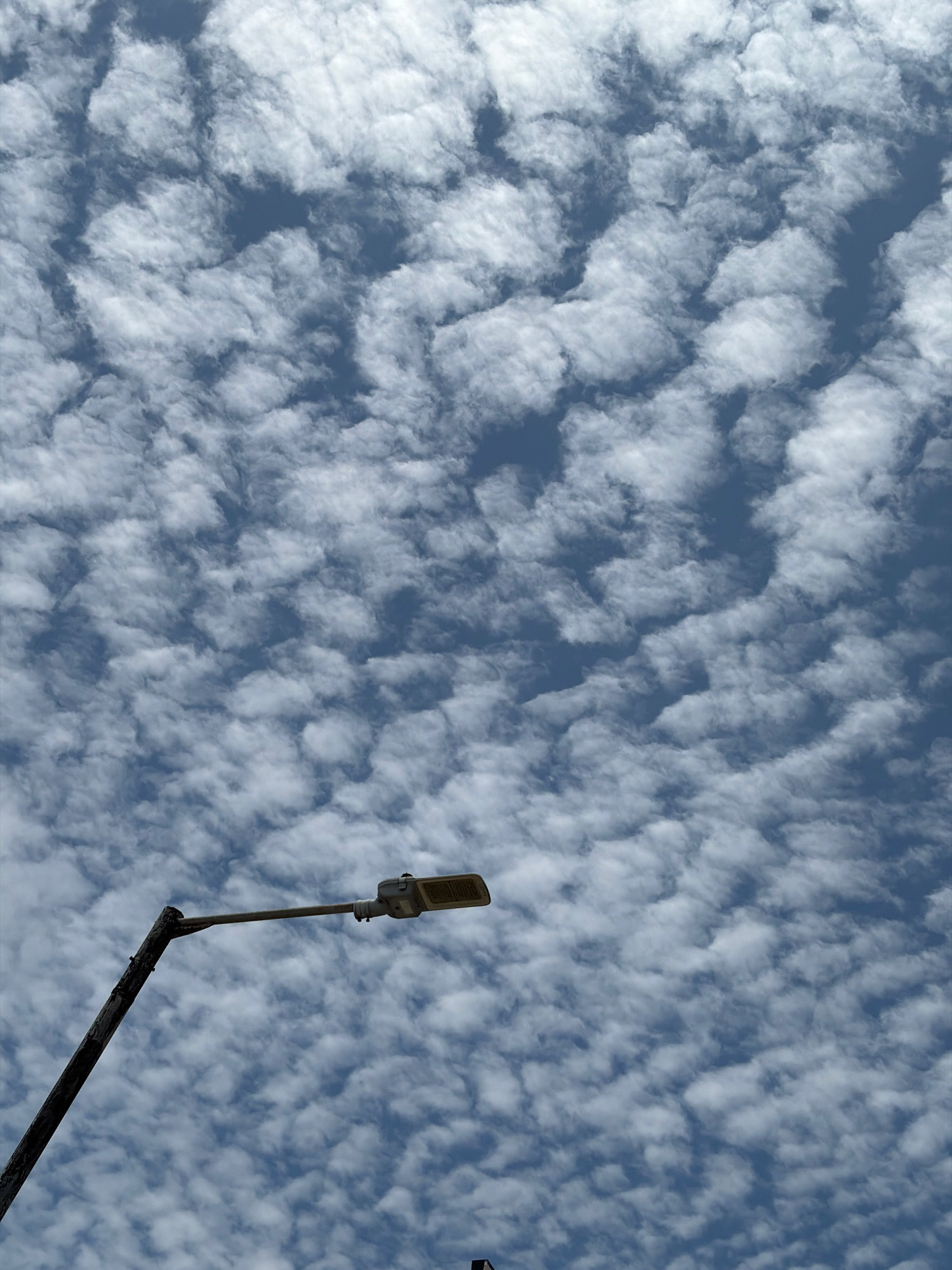 The image captures a street lamp against a sky filled with altocumulus clouds, suggestive of fair weather. The lamp post is a dark, weathered structure angled upwards from the lower left corner of the frame. Attached to it is a modern, rectangular streetlight fixture, facing right. The sky is a dominant feature, its deep blue canvas overlaid with a dense, patterned formation of white, puffy clouds. These clouds appear to be arranged in rows or ripples, creating a textured, almost tessellated effect across the sky. The location is identified as Alaguntan, Nigeria. There are no people or discernable actions visible in the scene, making it a static environmental observation.