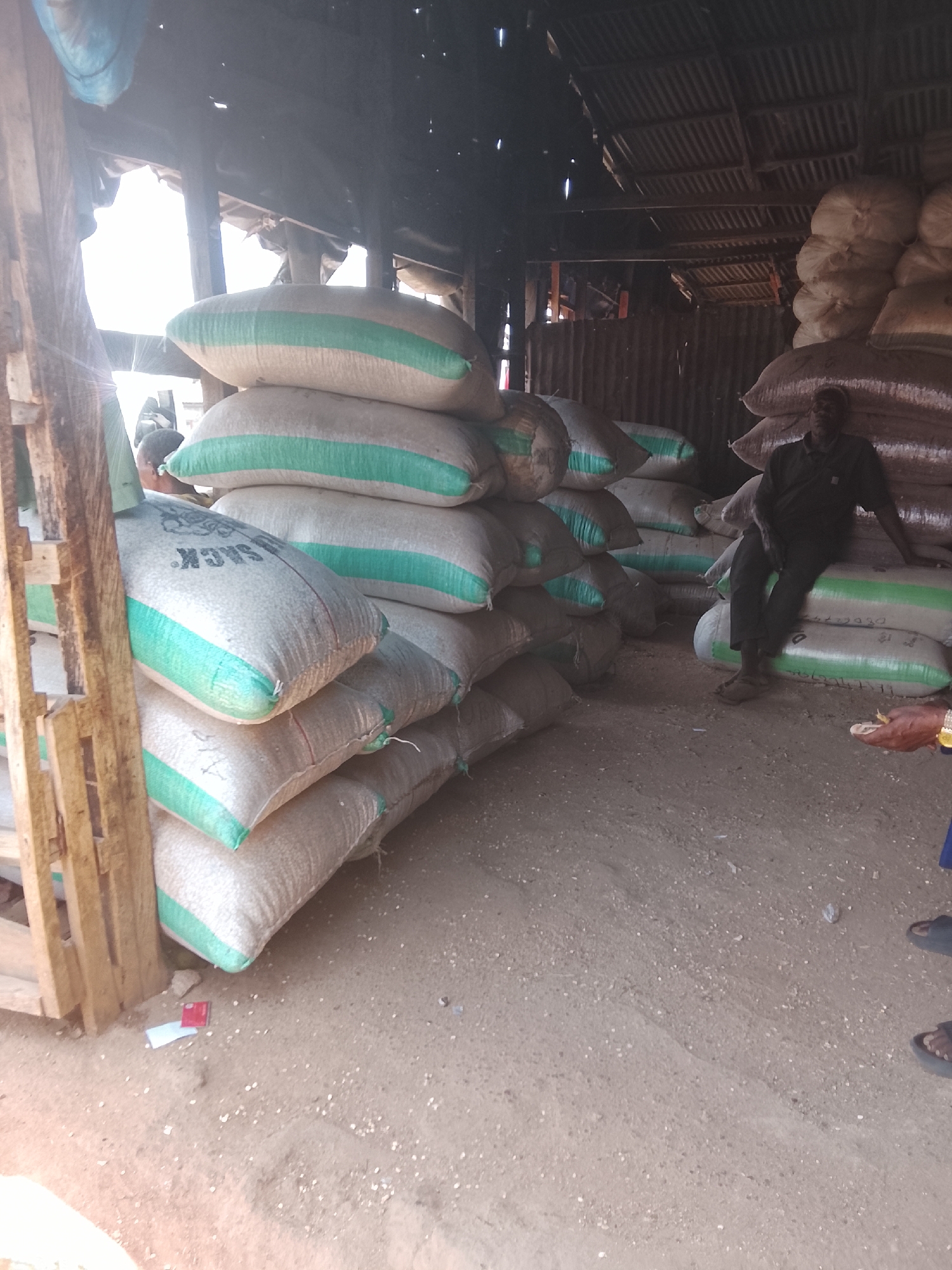 A warehouse in Jos, Nigeria, contains stacks of large, burlap sacks, some bearing the inscription "U SACK" with a green stripe. An African male sits on a stack of sacks, wearing a dark shirt and pants. Another individual, only partially visible, stands nearby wearing a blue garment and sandals. The floor is dirt with scattered debris. The warehouse structure appears to be made of corrugated metal and wood. The location is dimly lit, with natural light filtering through the roof and walls.