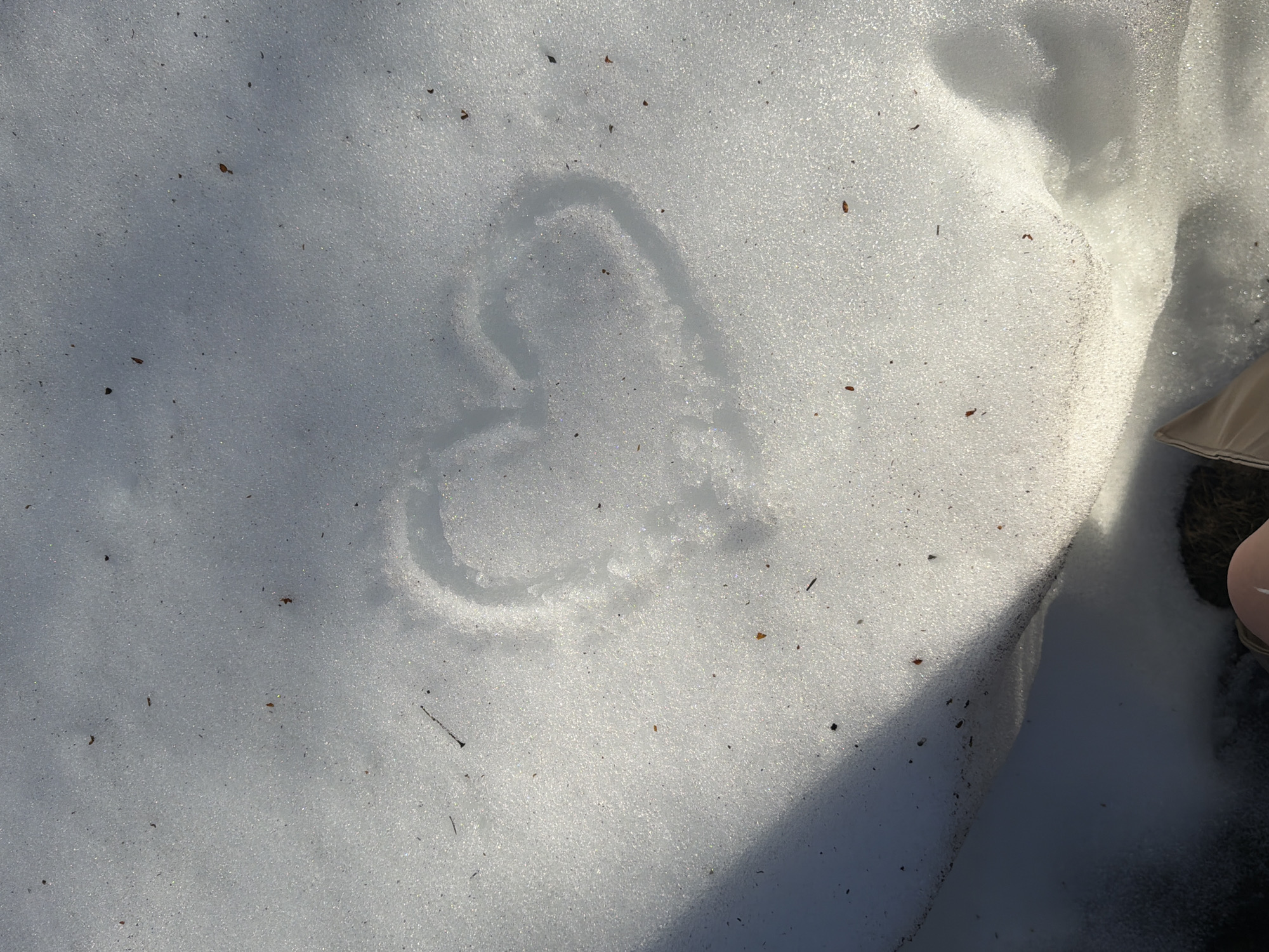 The image shows a patch of snow, likely outdoors, with a heart shape drawn into it. The snow appears relatively granular, with small debris scattered across its surface. A shaded area covers part of the snow, suggesting the presence of an object casting a shadow. To the bottom right is part of a shoe or boot. The environment appears to be natural with some dirt and dead grass being visible. There are no people visible. The location and time are unconfirmed.