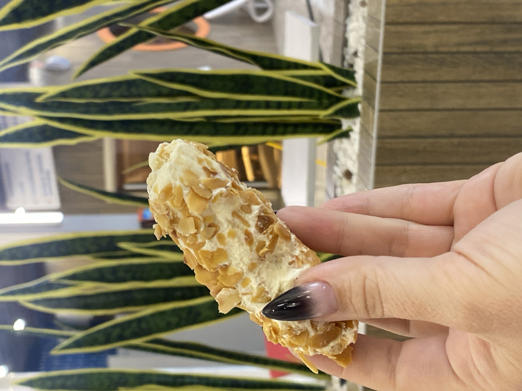 A close-up shot shows a hand holding a piece of pastry coated in chopped nuts. The pastry appears to be a long, cylindrical dessert with a creamy filling. The hand has manicured nails, painted with a gradient of black and pink. In the background, several snake plants with variegated green and yellow leaves are visible, planted in a textured pot. The scene is set indoors, possibly in a cafe or restaurant, with wooden paneling and white decorative stones in the foreground. The image does not contain enough information to determine its location in Votkinsk, Russia, or any specific city.
