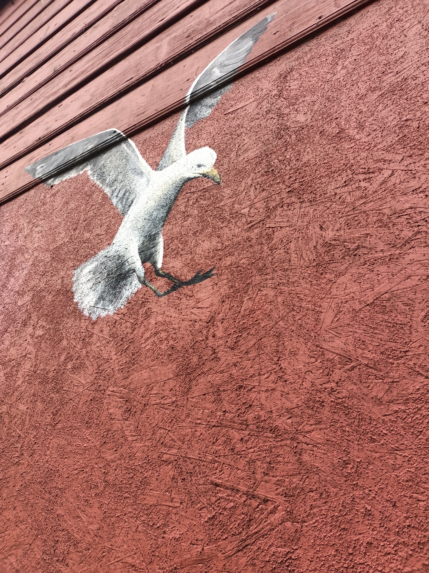The image shows a mural of a white seagull in flight painted on a textured, reddish-brown surface, possibly plywood or a similar material. The seagull is depicted with its wings outstretched and its beak pointing slightly downwards. The background consists of horizontal wooden planks painted a darker red, running along the top left of the image. The texture of the painted surface is rough and uneven, with visible brush strokes. This mural is located on a building facade in Tallinn, Estonia.