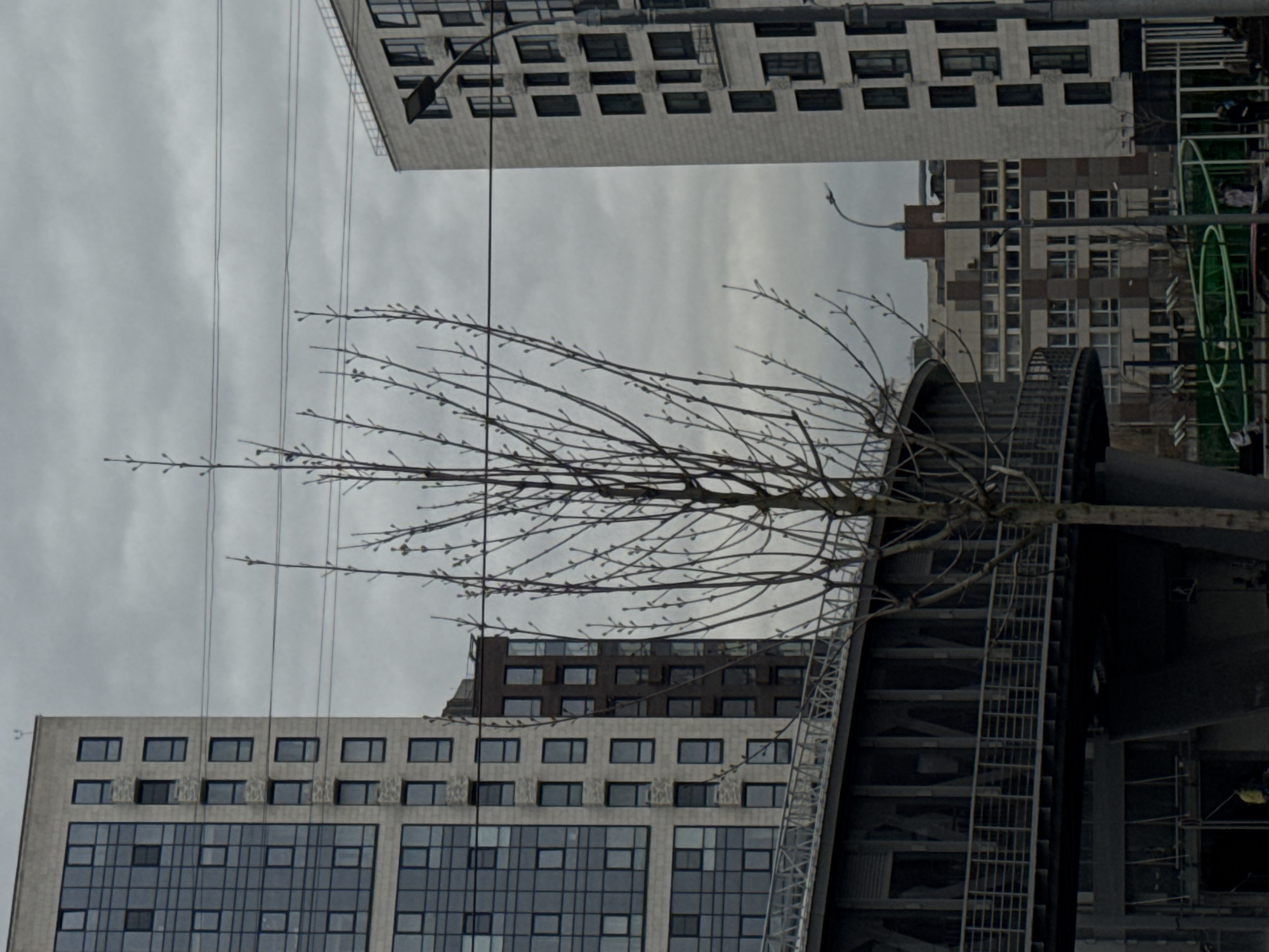 The image captures an urban landscape, likely in Moscow, Russia, given the architectural style. The sky is overcast, creating a muted, grayish light. In the foreground, a bare tree with slender branches stands against the backdrop of tall, modern buildings. One building has a façade of large windows, while another nearby is adorned with smaller, darker-framed windows. A gray, curving structure, potentially a bridge or elevated walkway, is present on the right side of the image. A tall, slender lamp post extends upward near the upper left corner. A few power lines are visible stretching across the sky in the left section of the image. The scene is absent of people.