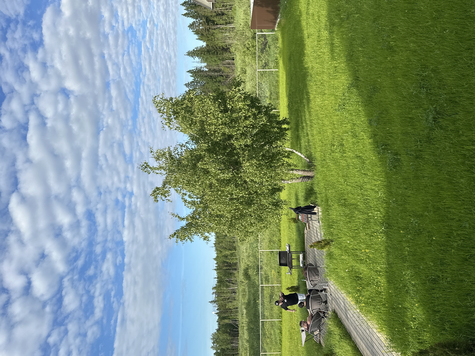 The image displays a vibrant outdoor scene under a bright blue sky filled with numerous scattered white clouds. A wide expanse of lush green grass dominates the foreground and midground, indicative of a well-kept lawn. In the center, a prominent birch tree with abundant green foliage stands tall, casting a light shadow on the grass.
In the background, a dense line of tall, dark evergreen trees forms a natural border, suggesting a forest. Above the treeline, a small building with a dark brown roof is partially visible. A white fence runs horizontally across the midground, separating the manicured lawn from a patch of wilder vegetation that leads to the forest.
A paved pathway, made of light-colored pavers, curves through the grassy area. Along this path, several outdoor amenities are arranged for a gathering: a barbecue grill, a table, and multiple chairs, some of which are reclined. A small wooden bench, with a dark jacket draped over it, is also present.
At least three individuals are visible on the pathway. One person, wearing a black t-shirt and a cap, stands near the chairs, while at least two others are seated in the reclining chairs. The arrangement of the grill and seating strongly suggests a casual outdoor event, such as a barbecue or a relaxed social gathering.
The bright sunlight and clear sky indicate it is daytime, likely late morning or afternoon, perfect for outdoor activities. The overall atmosphere appears tranquil and leisurely. No text is visible in the image. The setting, with its expansive lawn, forest backdrop, and birch tree, is characteristic of a rural or semi-rural environment, aligning with the given location context of Веревское, Russia.