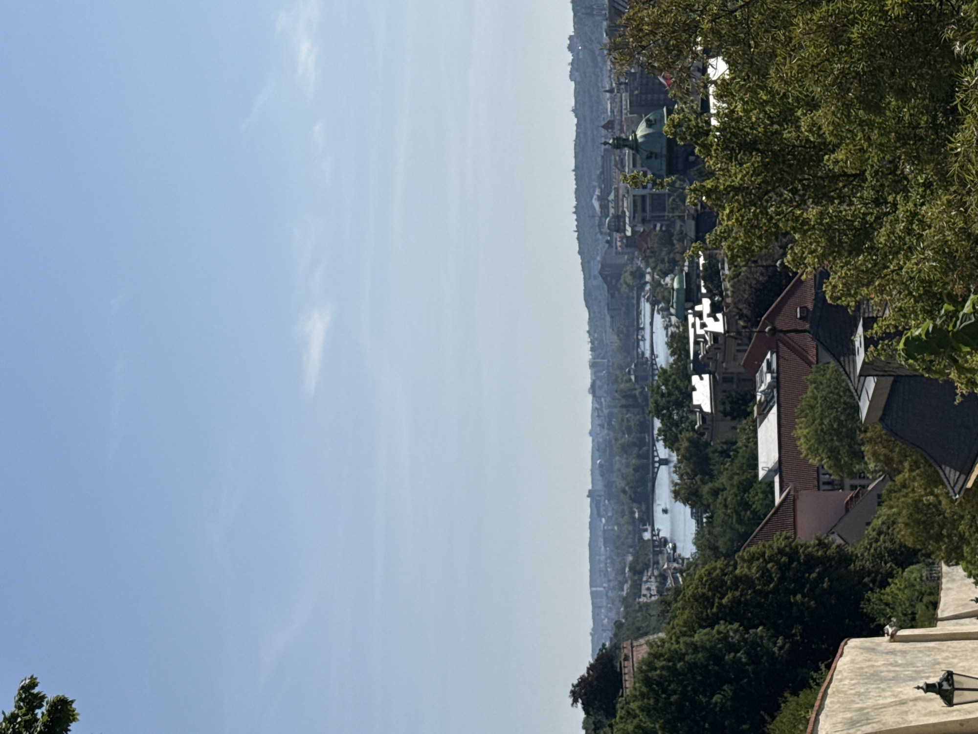 This is a high-angle, medium shot of a cityscape in Prague, Czechia, with the Vltava River and several bridges visible in the middle ground. The sky is clear and blue, with a few faint wispy clouds. The foreground shows a textured wall and a black lamppost on the left. Dense green foliage from trees dominates the right and lower portions of the frame, obscuring some of the buildings below. The middle ground features a wide river with boats and multiple bridges, including a prominent arch bridge. Beyond the river, a city skyline with various architectural styles, including domes and rooftops, stretches into the distance, backed by rolling, tree-covered hills. The overall scene depicts a bright, sunny day.