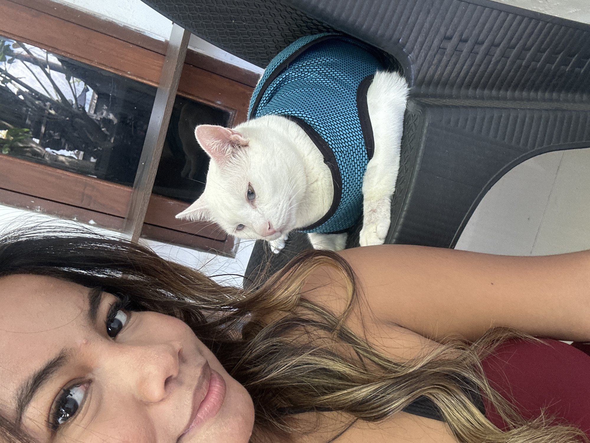 A selfie is taken by a person, partially visible on the left side of the frame, who is looking directly at the camera. They have long, wavy brown hair with blonde highlights and are wearing a maroon top. Next to them, a white cat with blue eyes is sitting on a black plastic chair. The cat is wearing a turquoise mesh vest with black trim. The background features a wooden-framed window with glass panes, reflecting trees and branches. A wooden shelf is visible below the window. The scene appears to be outdoors, possibly on a patio or balcony, in a location consistent with Sukawati, Indonesia, suggested by the tropical foliage visible through the window.