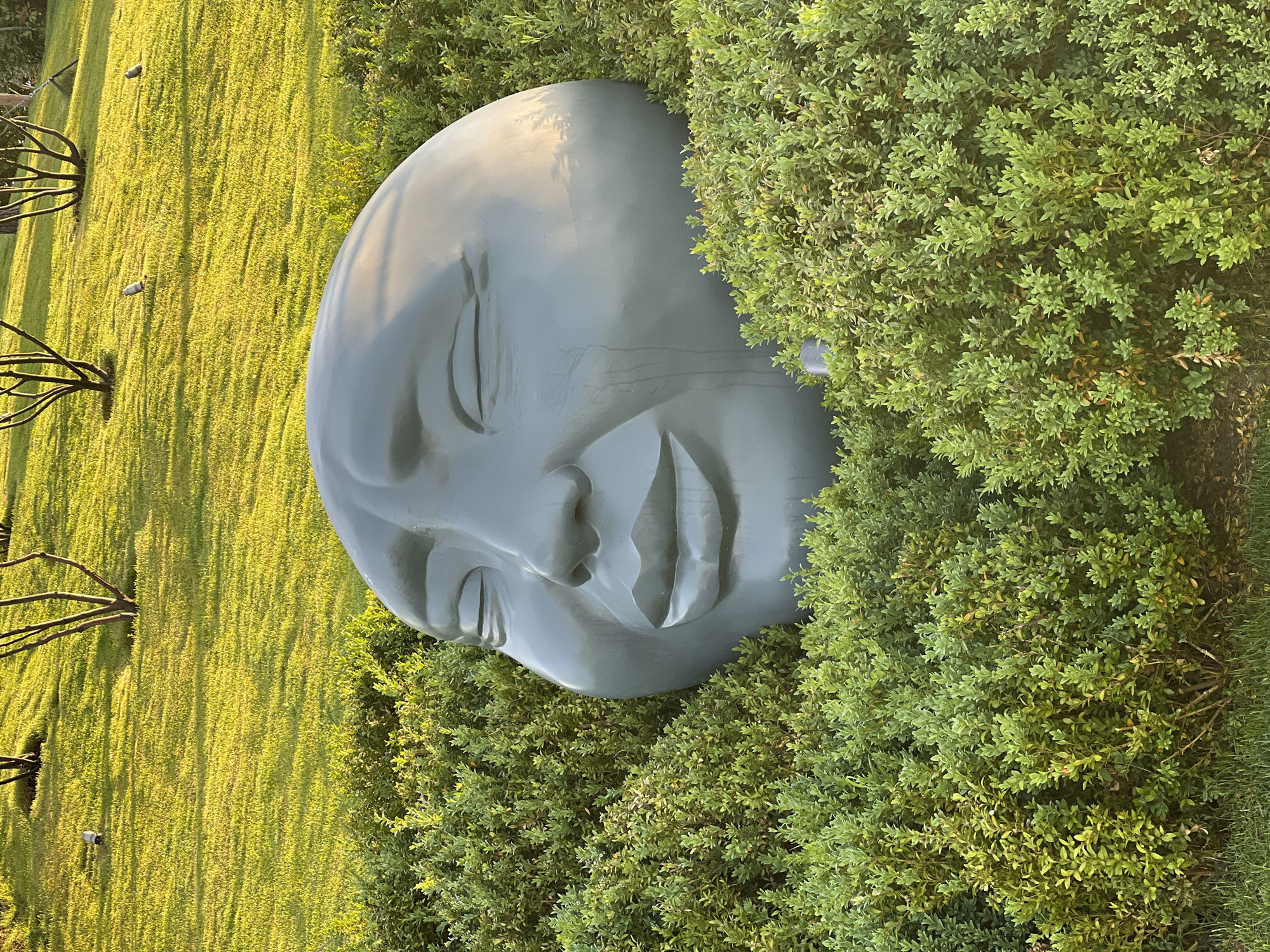 The image shows a large, grey, abstract sculpture of a face peeking out from behind lush green bushes. The sculpture has closed eyes and an open mouth, giving it an expressive, almost serene or amused appearance. The background consists of a grassy slope with scattered trees and a few small light fixtures, bathed in the warm, golden light of what appears to be either sunrise or sunset. The environment suggests an outdoor setting, likely a park or garden, in Krasnodar, Russia. There are no people or animals visible in the image.