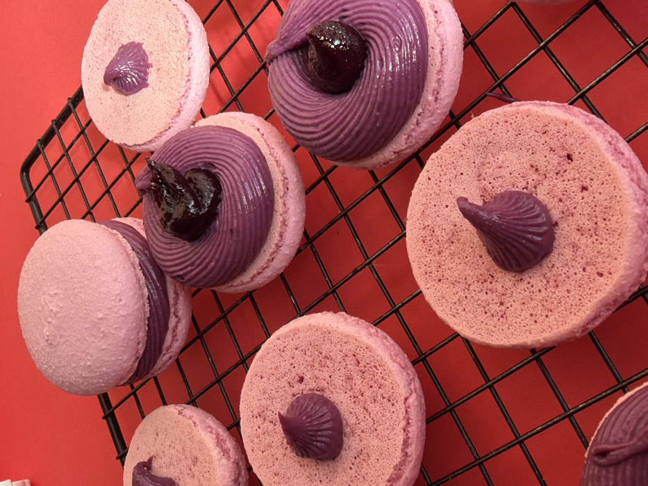 A high-angle, close-up photograph displays approximately eight macarons and macaron components arranged on a black wire cooling rack. The cooling rack is positioned over a solid, bright red background. The specific location within Tel-Aviv, Israel, or any other geographical area, cannot be determined from the elements present in the image.
The subjects are confectionery items. One fully assembled macaron, prominent in the upper center, consists of two light pink shells sandwiching a thick layer of vibrant purple cream filling. Below and to the right of this, two partially assembled macarons each feature a single light pink shell base topped with a concentric, spiraled application of vibrant purple cream. Both of these are further adorned with a dark, viscous topping, consistent with a berry jam or fruit preserve.
Additionally, five individual light pink macaron shells are visible across the frame. Four of these shells are topped with a small, peaked swirl of vibrant purple cream at their centers. The remaining pink macaron shell, located in the upper left, has a flatter, more amorphous dab of purple material.
The objects present are the macarons and a standard black wire cooling rack. The environment consists of the red surface beneath the cooling rack, which provides a uniform, high-contrast backdrop. No individuals are depicted, and no specific actions or interactions are taking place. The scene is evenly lit.