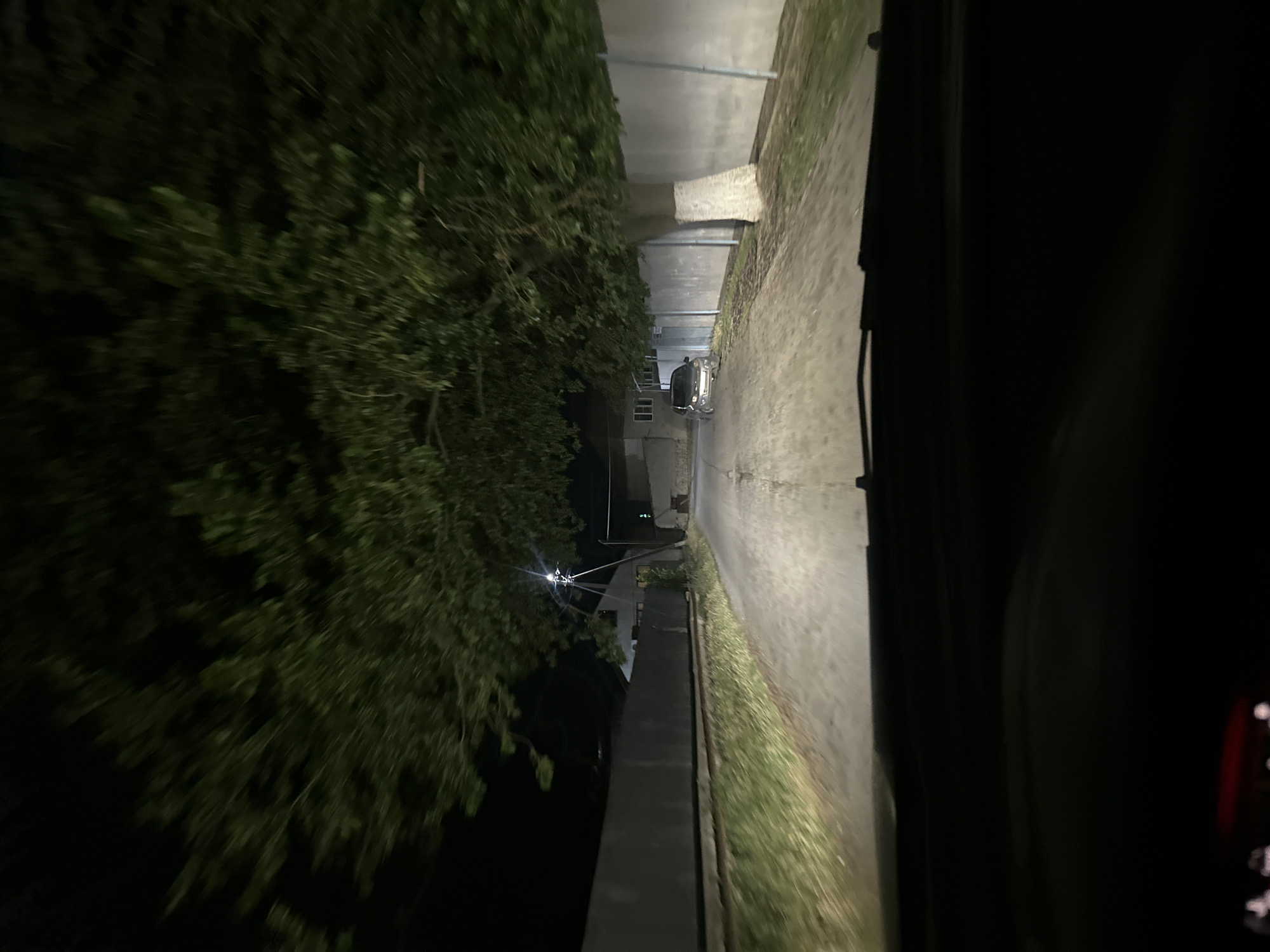 A first-person perspective, looking out from inside a vehicle, captures a nighttime scene on a paved road in Subutli-Miatli, Russia. The road is illuminated by the vehicle's headlights, casting a bright beam forward. To the left of the road, a tall, gray concrete wall runs parallel, with a faint embankment of dry grass and weeds at its base. Beyond the wall, the darkness suggests a dark landscape. To the right of the road, a large tree with dense green foliage arches over the scene, its branches extending across the upper portion of the image. A white-painted tree trunk is visible near the wall. Further down the road, a parked, dark-colored sedan is visible. In the background, houses with windows can be seen, and a streetlamp emits light. The overall impression is a quiet, somewhat deserted road under the cover of darkness.