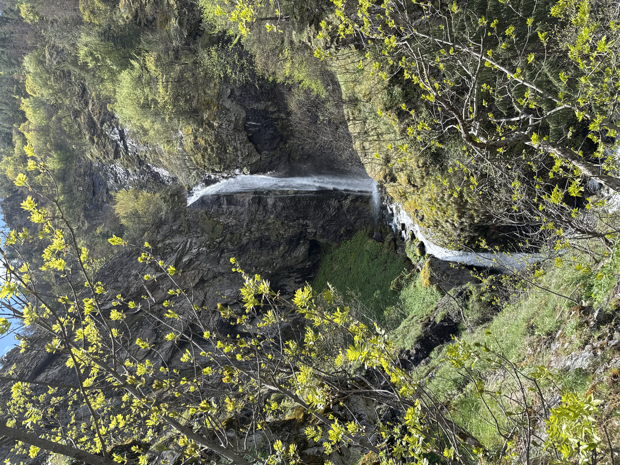 The image depicts a waterfall cascading over a rocky cliff face in the city of Ovchartsi, Bulgaria. The water forms a broad, thin stream as it descends. The surrounding landscape is covered in lush vegetation, with trees and bushes clinging to the cliff sides. Some trees in the foreground feature new, yellow-green leaves. The scene is bathed in sunlight, enhancing the natural colors. There are no people visible.