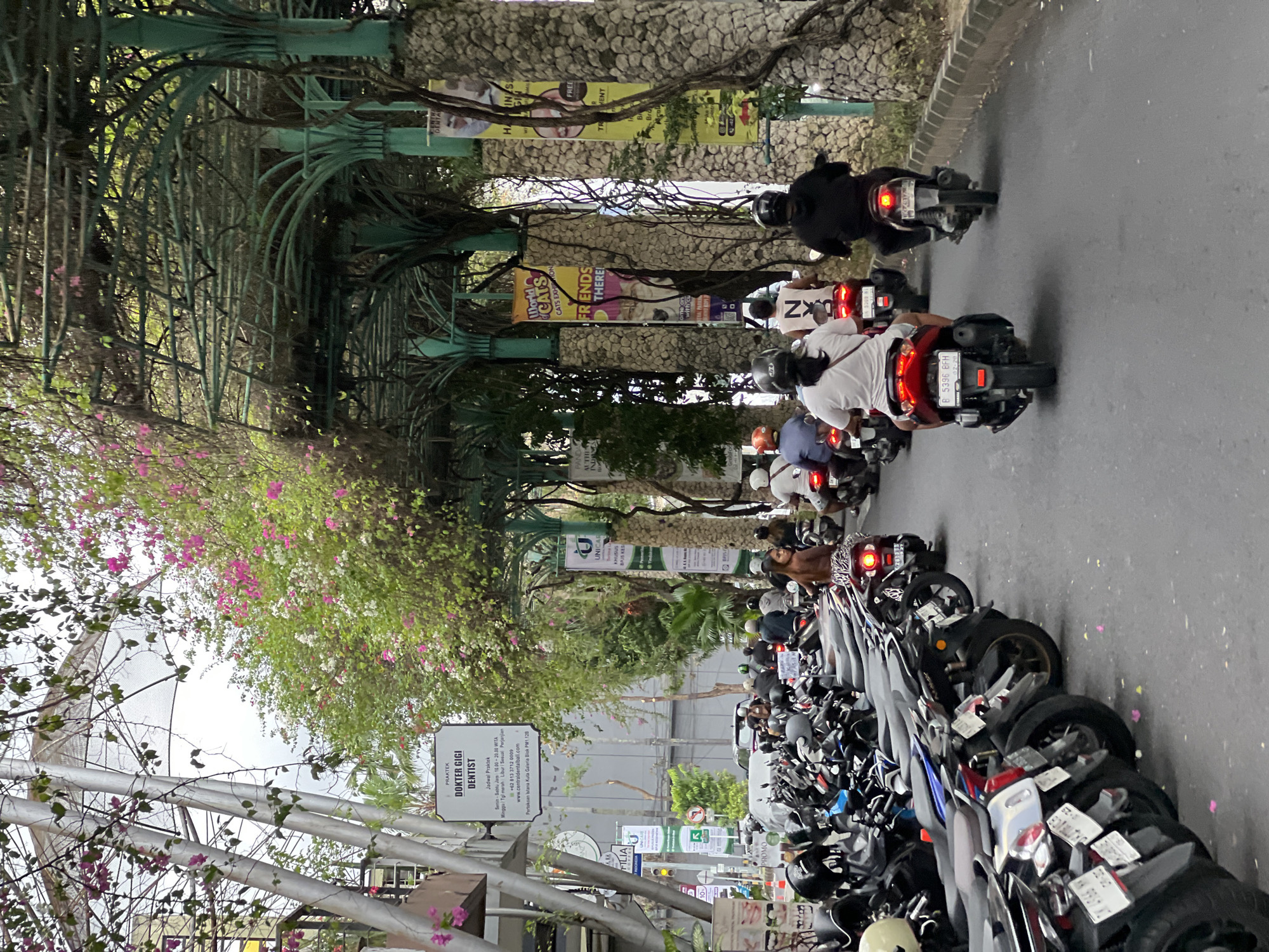The image captures a bustling street in Kuta, Indonesia, characterized by heavy motorcycle traffic and parking. A long line of parked motorcycles fills the right side of the street. On the left, a metal archway entwined with flowering vines forms a shaded walkway. Motorcyclists ride along the road, headed away from the camera. Signage is visible, including one for a dentist's practice, "DOKTER GIGI DENTIST," and another indicating participation in the BPJS KES healthcare program. Banners advertising events such as a "World Cats Cats Exhibition" are also present. The street is framed by buildings and trees, with an overhead canopy of greenery adding to the vibrancy of the scene.