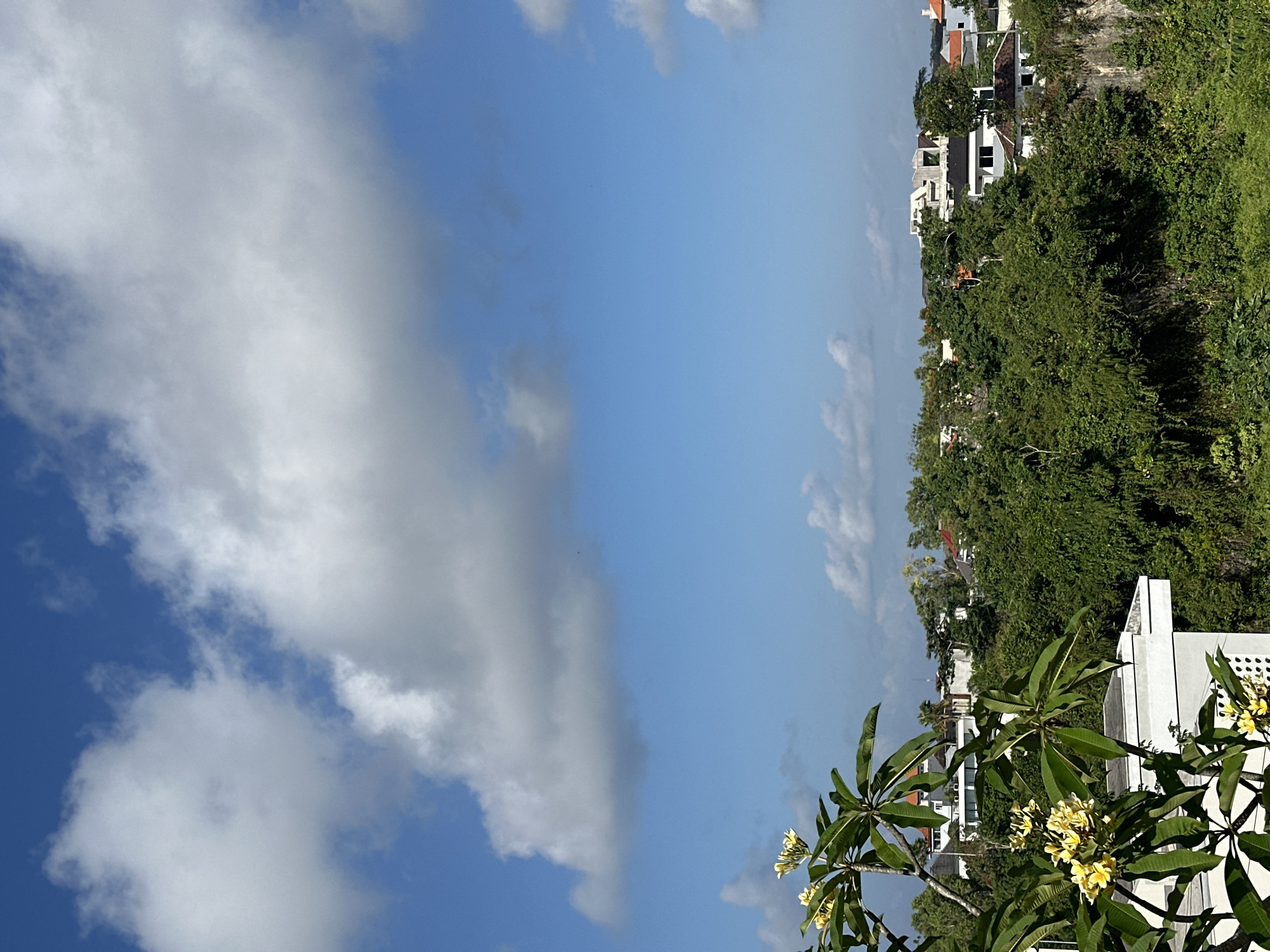 An outdoor, eye-level, medium shot captures a view of villas and lush greenery under a bright blue sky dotted with fluffy white clouds. In the foreground, a frangipani tree with yellow blossoms and vibrant green leaves partially obscures a white villa with a flat roof and geometric patterns on its wall. The background is filled with a dense canopy of trees, interspersed with the roofs of several white villas, some with red accents. The scene is indicative of the tropical environment found in Kuta Selatan, Indonesia, a popular tourist destination known for its beaches and resorts.