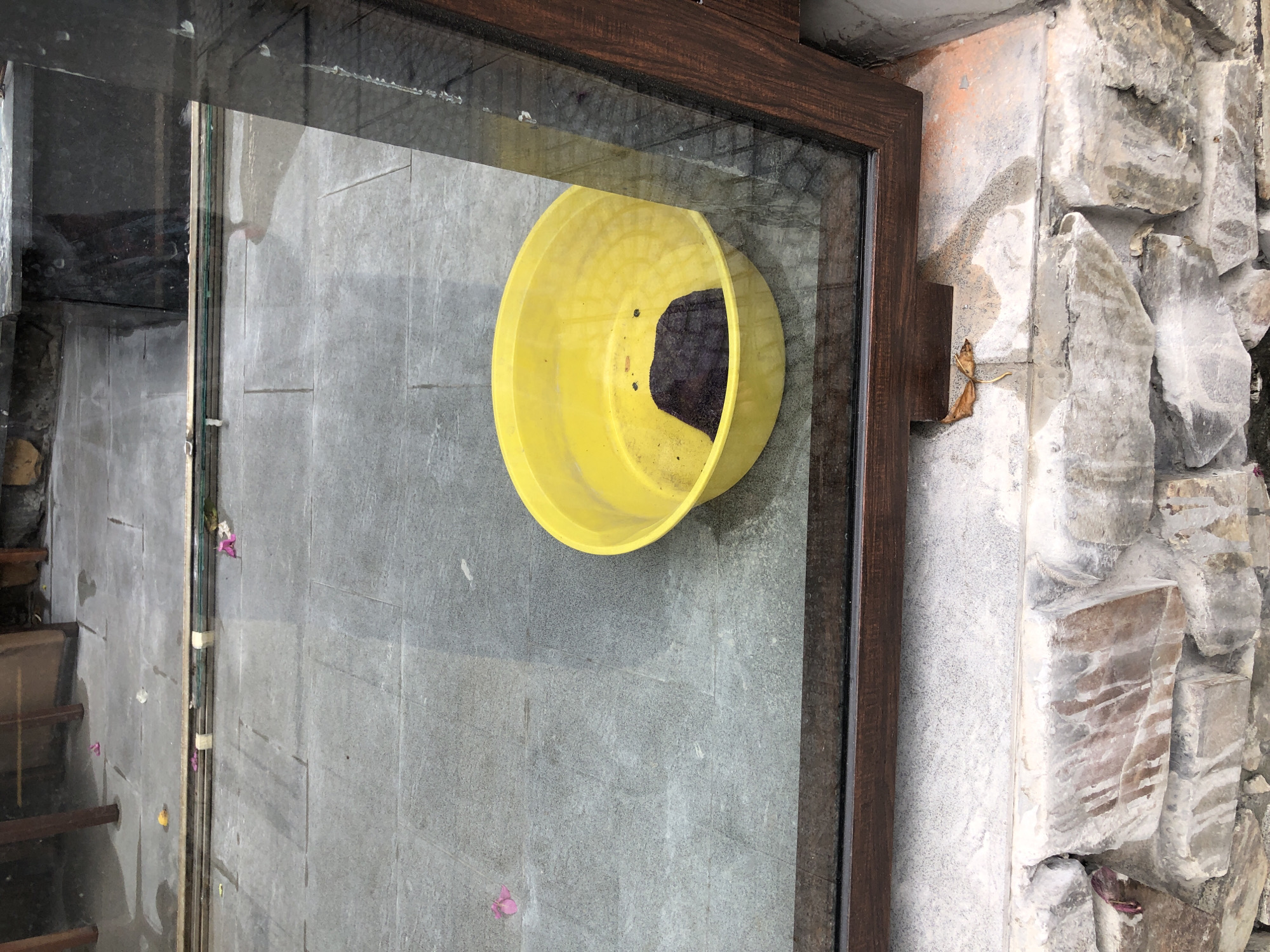 The image shows a yellow plastic basin containing a dark, wet object, placed on a tiled floor. The basin is visible through a window with a dark brown frame. Outside the window, the tiled floor is wet, and there are scattered pink petals. The foreground shows a stone wall with some debris. The scene appears to be an outdoor area, possibly a patio or walkway, adjacent to a building. The presence of wetness and scattered petals suggests recent rain or watering. The overall impression is one of a simple, somewhat neglected outdoor space. The image does not provide explicit clues to pinpoint a specific location in Da Nang, Vietnam, beyond it being an outdoor urban setting with tiled surfaces.