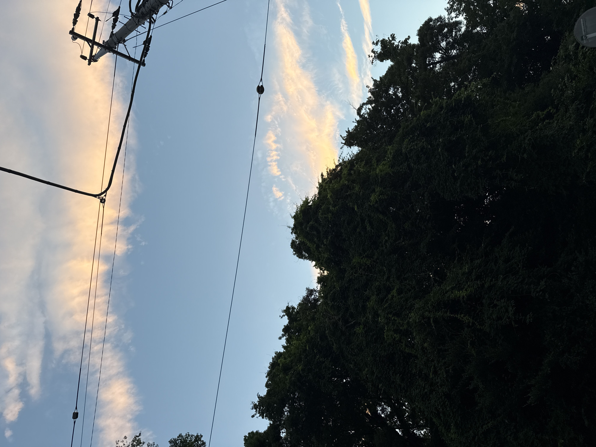 This image, taken at sunset in Yachiyo, Japan, captures a segment of the sky above a dense canopy of dark green trees. Wispy, light-colored clouds are illuminated with a soft, peachy glow, indicative of the setting sun. Power lines stretch across the frame, intersecting the sky and a telephone pole is visible on the right side of the image. The overall scene is characterized by the contrast between the vibrant, yet fading, sky and the dark, shadowed foliage.