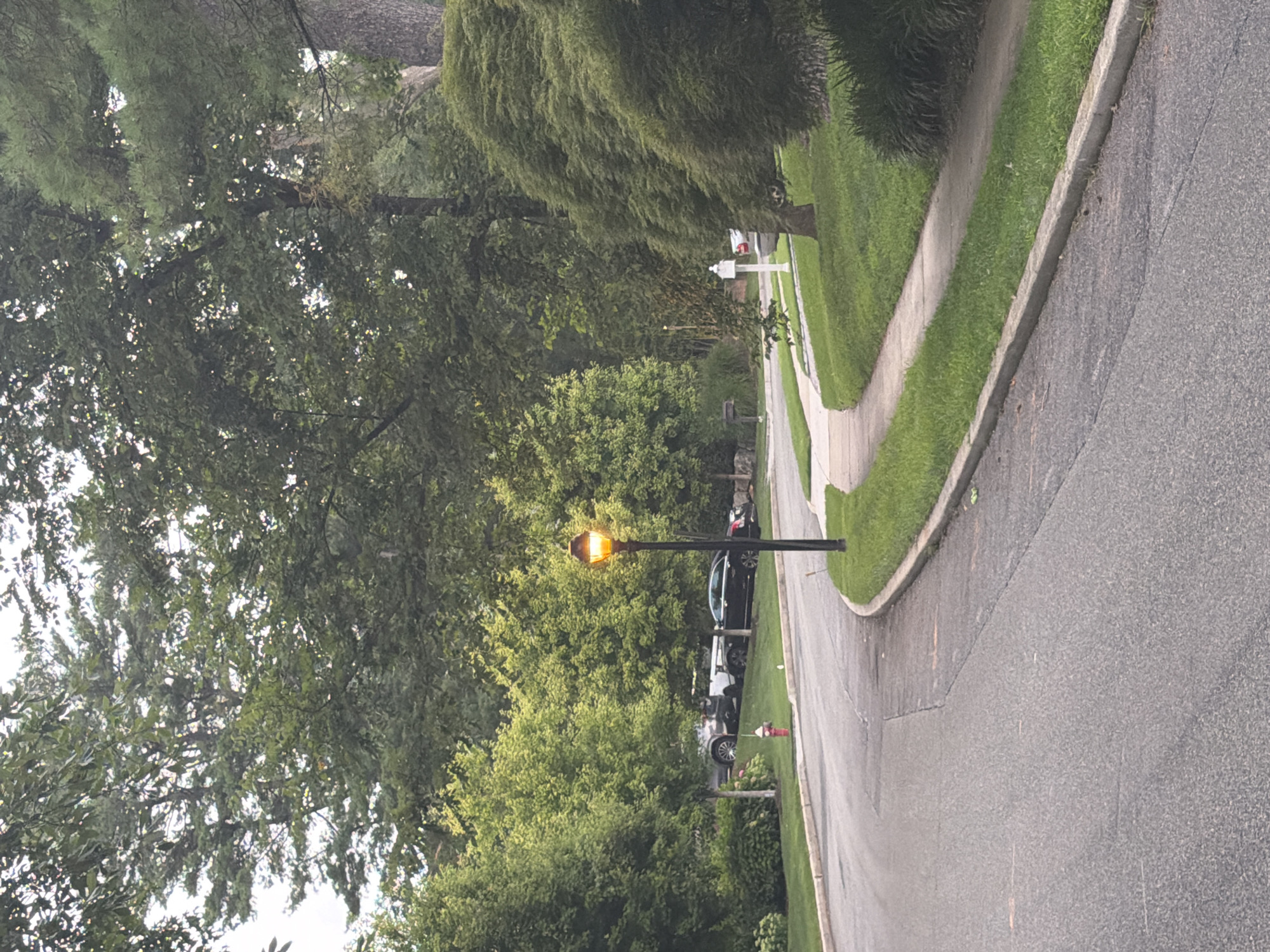 The image shows a residential street in the Village of Great Neck, United States of America. A paved road curves to the left, bordered by a sidewalk and a grassy lawn. A vintage-style streetlamp with an illuminated orange globe stands on the right side of the road. Several cars are parked along the left side of the street, including a black sedan and a white pickup truck. A red fire hydrant is visible near the parked vehicles. The street is lined with mature trees, their green foliage creating a canopy overhead. The overall scene depicts a quiet, suburban neighborhood.