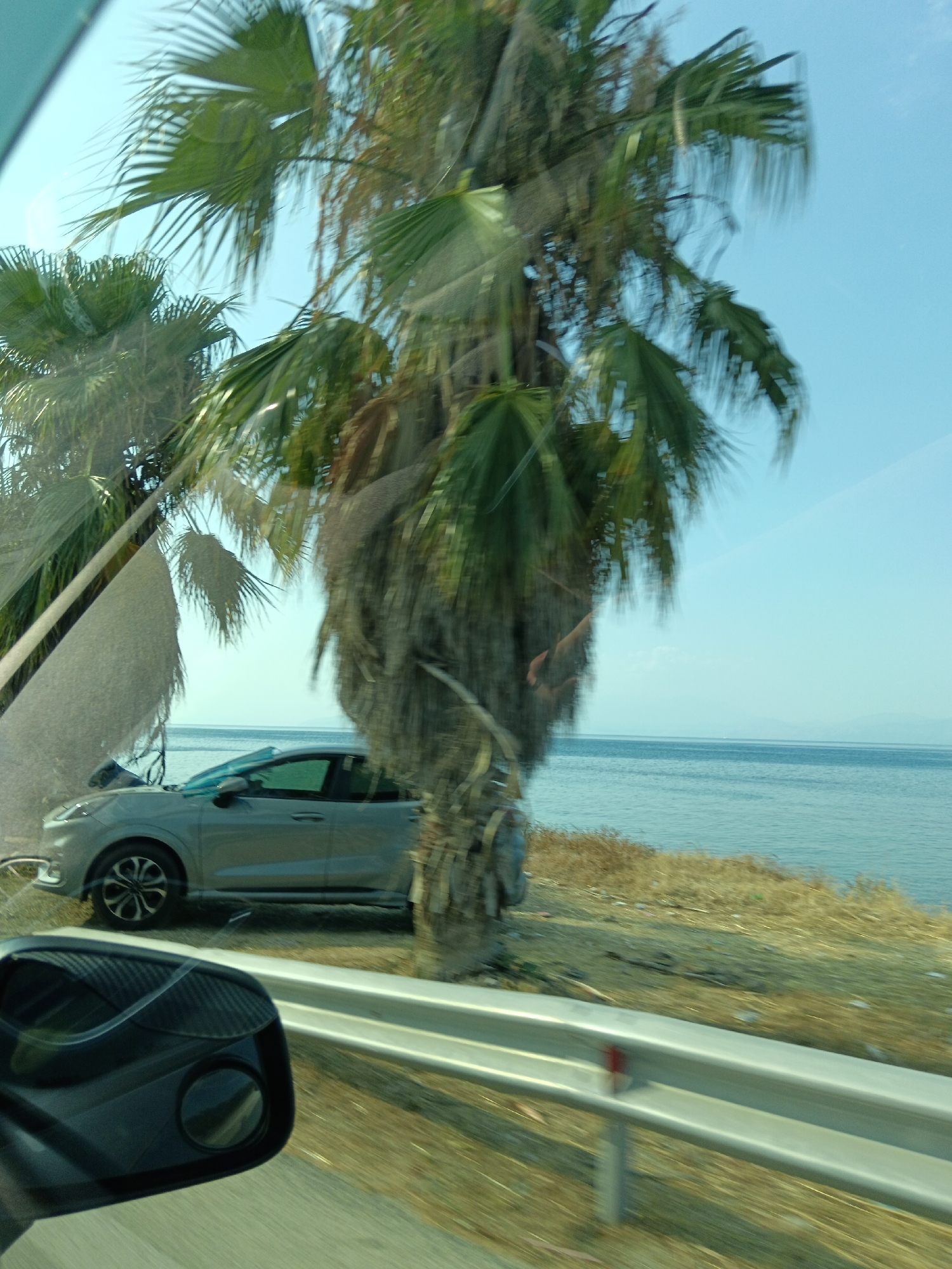 The image shows a car driving alongside a coastal road in the Municipal Unit of Sikyona, Greece. A gray car is visible on the right side of the road, parked or driving. Palm trees are prominent in the foreground and background. The sea is to the right of the road, with dry grass and some debris on the embankment. The sky is clear and blue. The image appears to have been taken from another vehicle, possibly through a window, as evidenced by reflections and a view of a car's side mirror in the lower left corner.