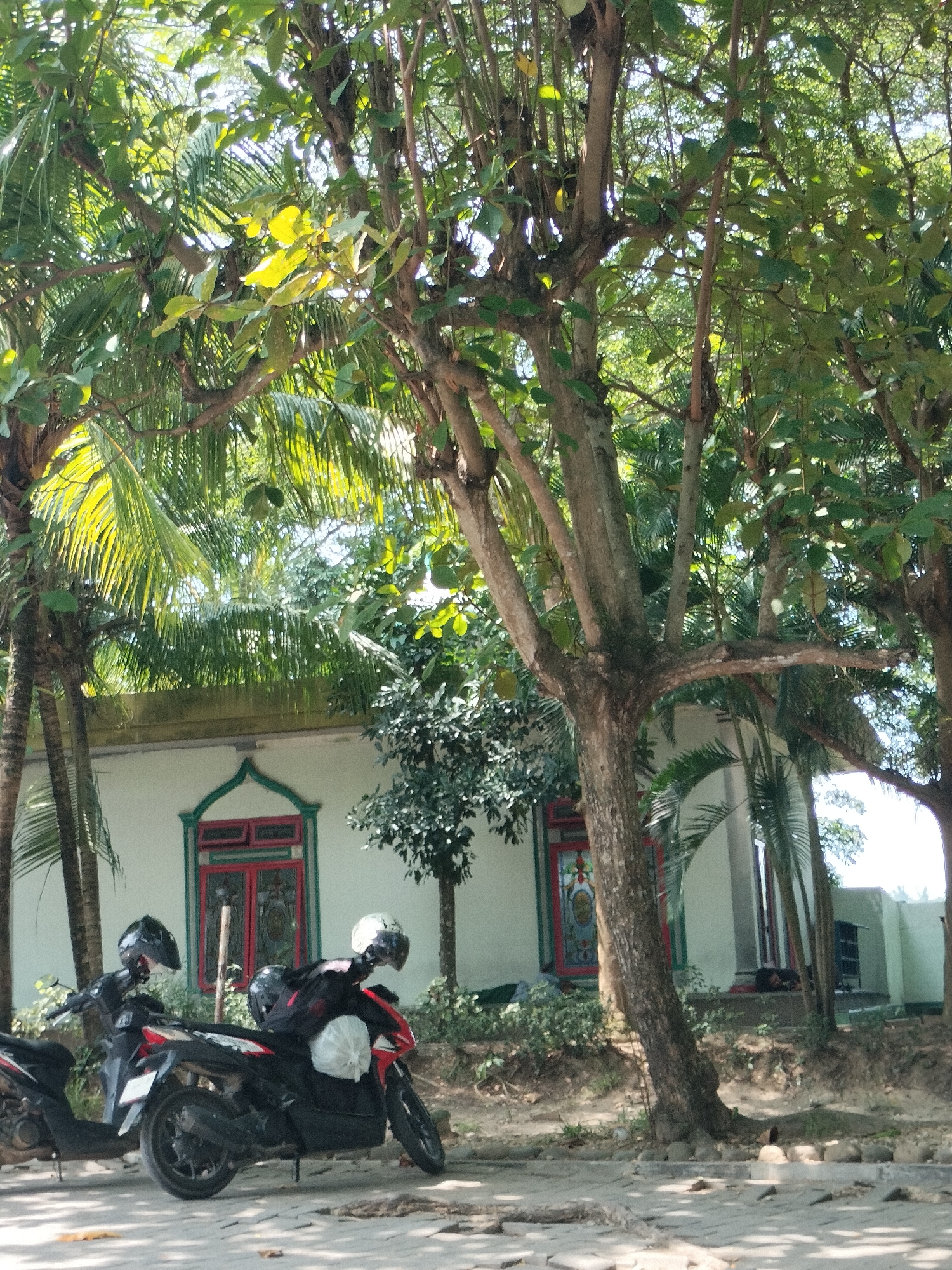 Two motorcycles are parked on a paved surface in front of a white building with green and red trim around the windows. The motorcycle on the right is red and black, with two helmets secured on its handlebars and seat. It also has a white bag and a black bag strapped to the back. The motorcycle on the left is mostly black and has a black helmet on its handlebars. Several trees with lush green foliage dominate the foreground and the background, with palm trees visible on the left. The building appears to be a house or a small commercial establishment. The ground is a mix of dirt and small stones, and sunlight filters through the leaves of the trees, creating dappled shadows. The scene is consistent with a residential or semi-rural area in Seuneubokpeunteut, Indonesia.