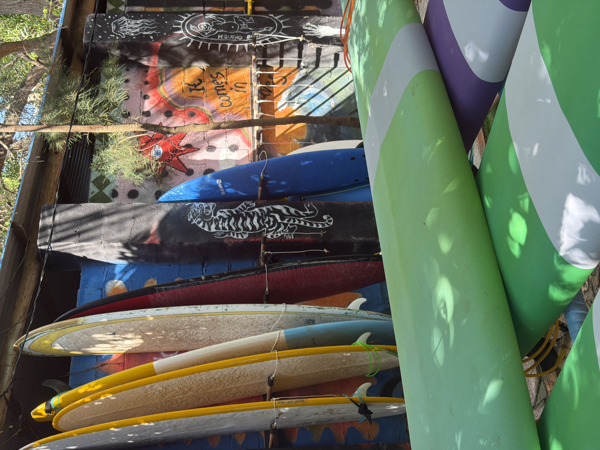 The image shows a collection of surfboards and paddleboards stored vertically in what appears to be an outdoor storage area. The scene is likely in Cam Lam, Vietnam. There are several surfboards with visible fins, primarily yellow, white, and blue. The surfboards are held in place by metal racks. A painted wall behind the surfboards is decorated with graffiti, including a red star, a tiger, and other artistic designs. The wall also includes the text "R comes in" written in orange. A blue paddleboard with the text "OLAIMIAN" is visible. Large green and white striped paddleboards, along with one purple and white one, are stacked against the right edge of the frame. Some foliage and tree branches are visible in the upper left corner. Sunlight casts shadows across the surfboards and wall.