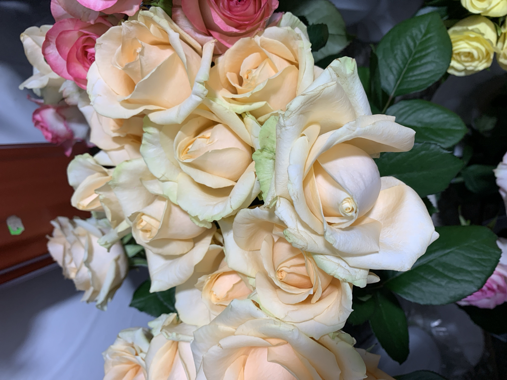 The image shows a close-up, eye-level shot of a bouquet of roses. The dominant color is a creamy peach, with some roses having pale green tips. Interspersed are a few bright pink roses and a hint of a yellow rose at the bottom. The roses are in various stages of bloom, with some fully open and others still forming tight buds. Dark green leaves are visible throughout the bouquet, providing a contrast to the softer petal colors. The background is out of focus, showing a blurred reddish-brown surface and a light blue area, suggesting an indoor setting. There are no people or animals visible in the image. The image does not provide any contextual information that would allow for the determination of its location within the city of Sumy, Ukraine, or any other specific geographical area. The composition is tightly cropped on the flowers, with no discernible environmental clues beyond the blurred background.