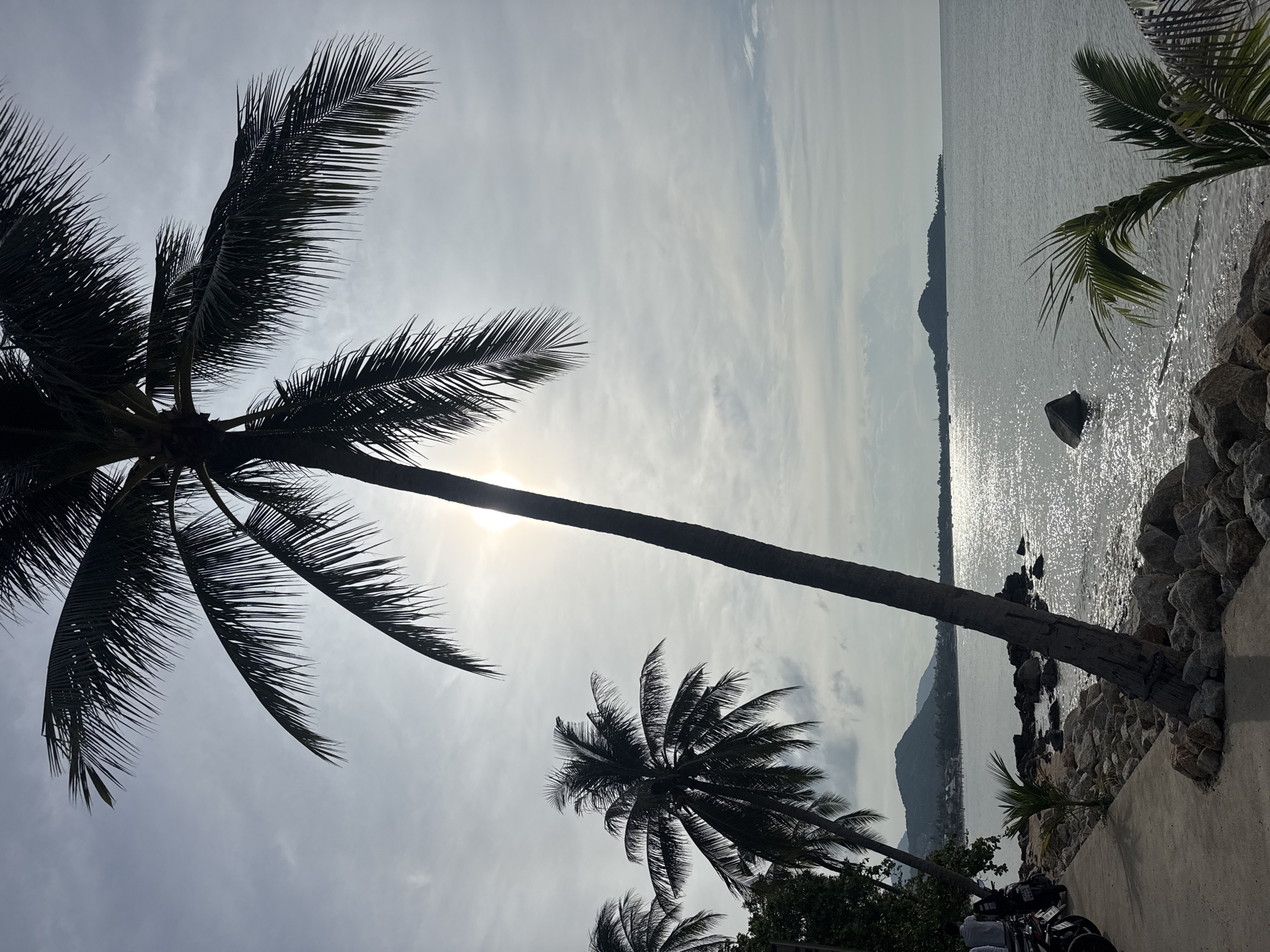 The image captures a scene along the coast of Ko Samui District, Thailand. The foreground features a concrete pathway adjacent to a rocky shoreline. Several motorcycles are parked on the pathway on the left side of the image. Two palm trees are prominent in the composition; one is leaning significantly towards the sea, its trunk rooted among the rocks, and the other, larger palm tree stands further back, its fronds reaching towards the sky. The sea stretches out to the horizon, with the sun peeking through the clouds, creating a glittering effect on the water's surface. In the distance, hills and islands are visible, silhouetted against the overcast sky. The overall atmosphere is tranquil, suggesting a tropical coastal environment.
