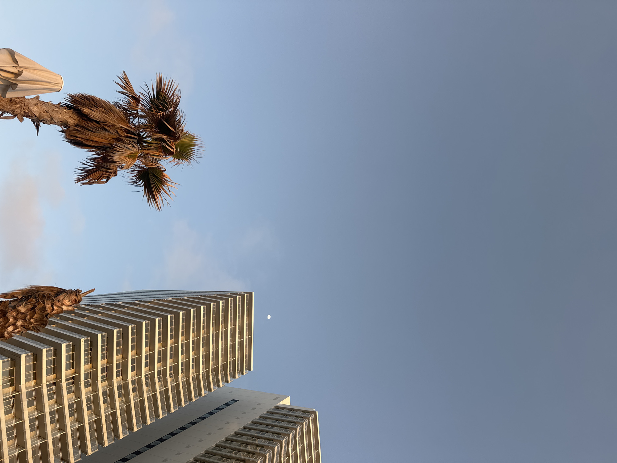 The image shows a low-angle view of a scene in Bat Yam, Israel, likely taken outdoors. In the left foreground, a palm tree with partially dried fronds is visible, and a beach umbrella is attached to it. Adjacent to the tree, two modern high-rise buildings with multiple balconies stand against the sky. Between the buildings, a crescent moon is visible. The sky is clear with a light blue gradient. The scene appears to be photographed during the day.