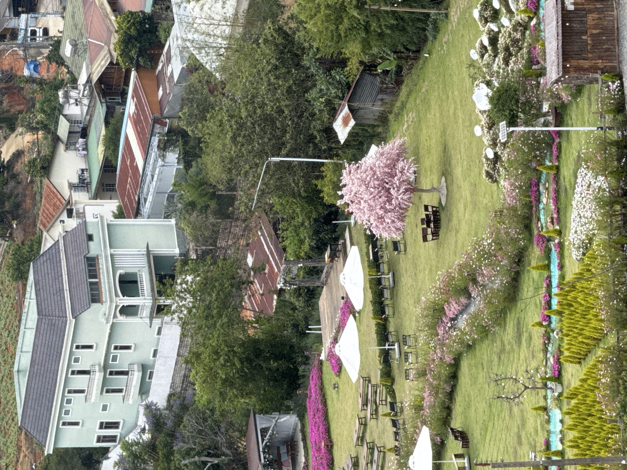 The image depicts a verdant lawn in what appears to be a public park or garden in Da Lat, Vietnam, given the architecture of the surrounding buildings. The lawn is populated with trees, flowering bushes, picnic tables, and sun umbrellas. The buildings are densely clustered, featuring red and gray roofs with light-colored walls. A paved road borders the edge of the property.