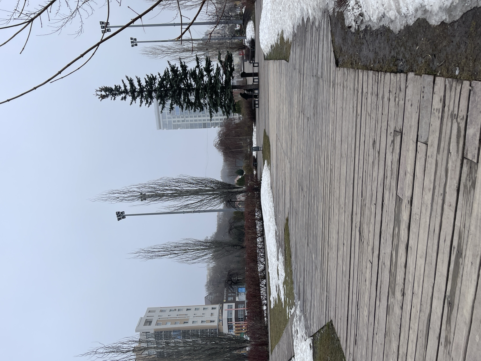The image shows a public space in Kazan, Russia, featuring a wooden boardwalk bordered by melting snow and bare vegetation, indicative of early spring. The boardwalk is made of closely spaced wooden planks, leading towards a line of evergreen and deciduous trees. In the background, buildings, including residential apartments, are visible through the fog, along with street lamps. Benches line the path. The weather appears overcast.
