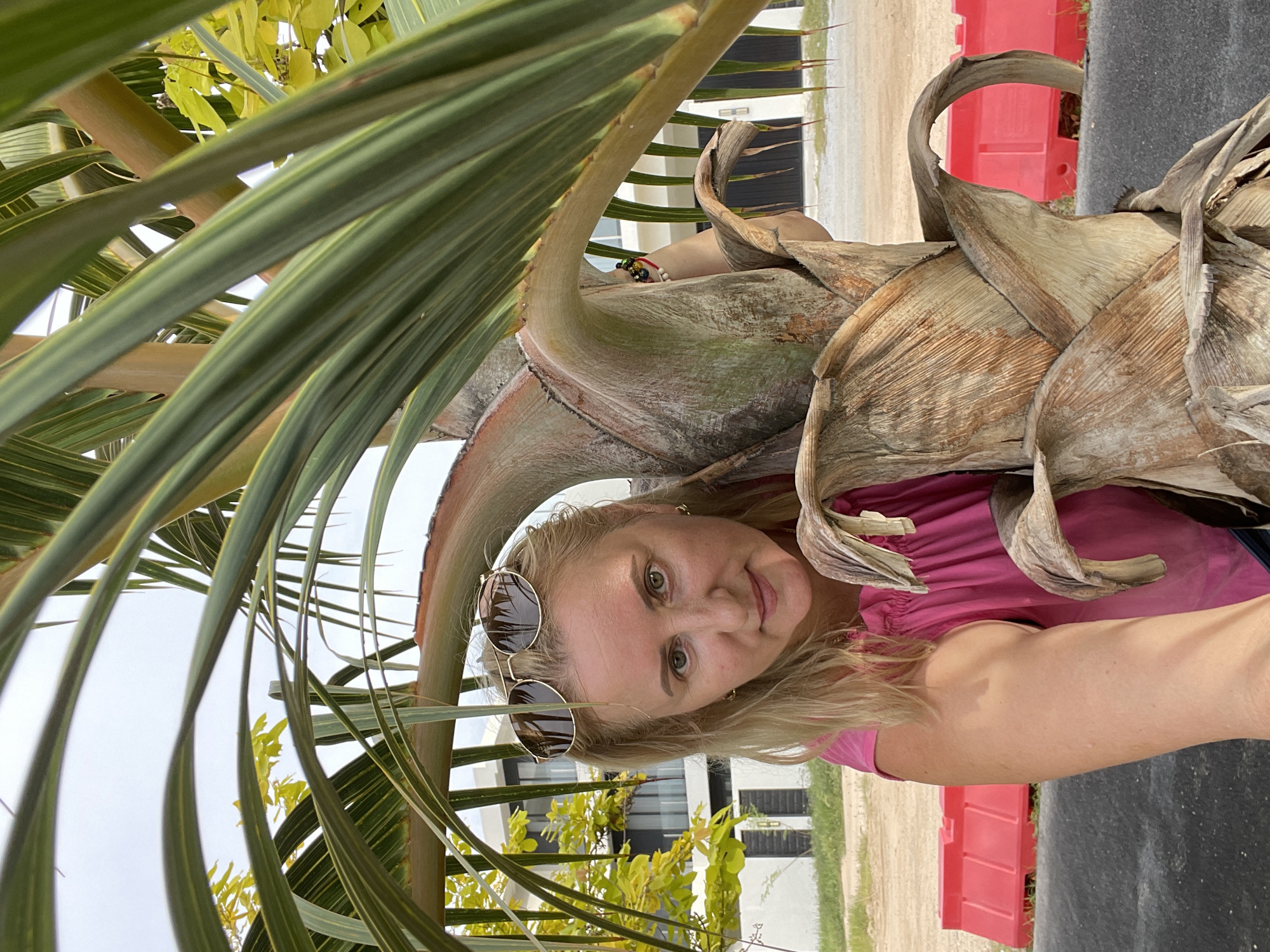 A woman with blonde hair and sunglasses perched on her head is peeking from behind a palm tree. She is wearing a pink top. The background shows a modern building with black window frames and a bright white facade, typical of architecture found in areas like Pattaya City, Thailand. In the foreground, red barrier blocks are visible on a dirt or gravel surface. The palm tree itself has rough, fibrous bark and large green fronds that partially obscure the view. The lighting suggests it is daytime, with an overcast sky.