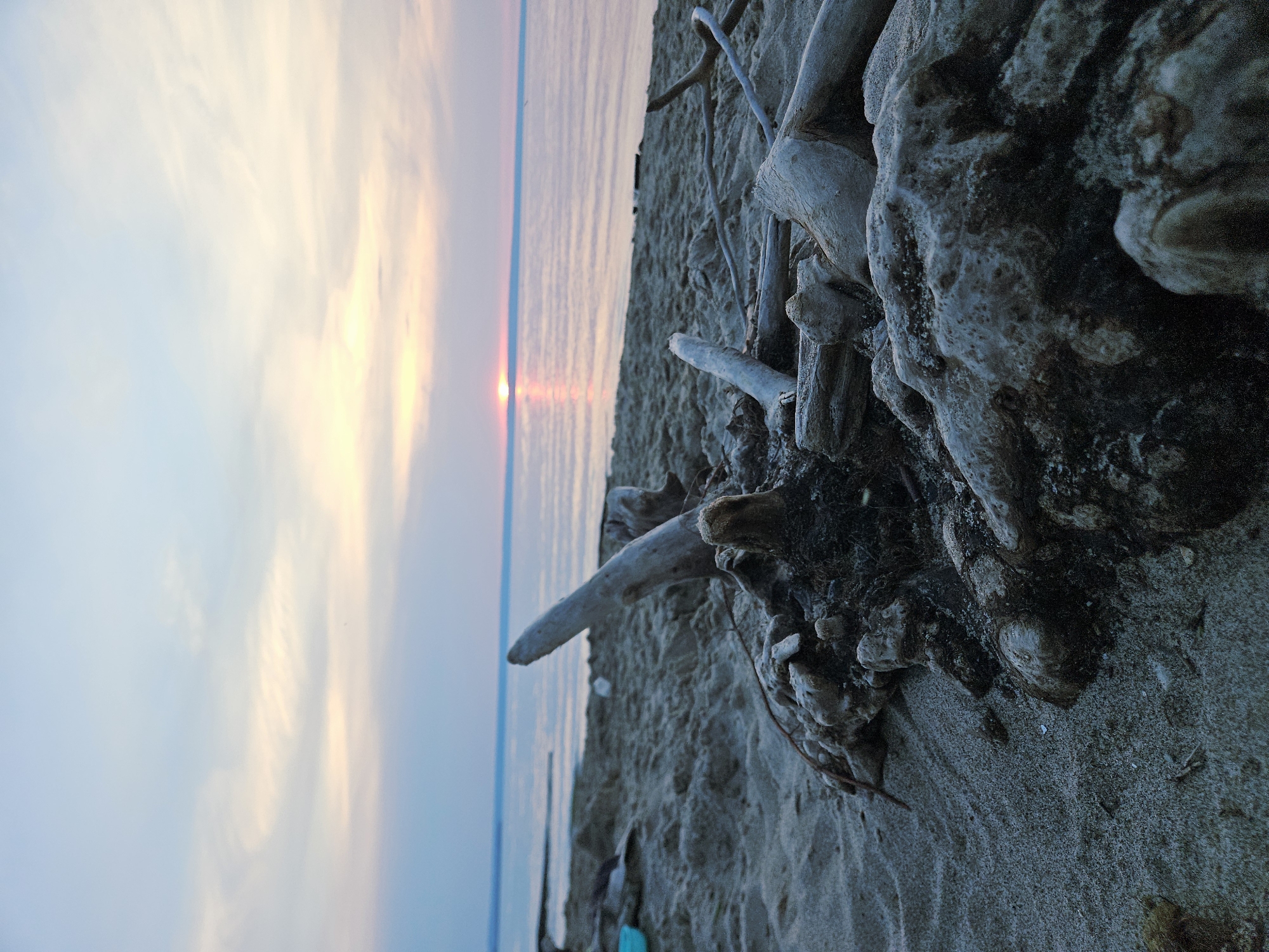 A low-angle, close-up shot of driftwood and sand on a beach, with a calm body of water and a sunset in the background. The driftwood in the foreground is aged and weathered, with some dark, organic material mixed in. The sand is fine-grained and appears damp. The water is still, reflecting the soft colors of the sky. The sunset is a muted orange glow on the horizon, with pale pink and blue hues in the sky. The overall impression is one of tranquility and natural beauty. The location of this scene is the city of Leninsky, Russia.