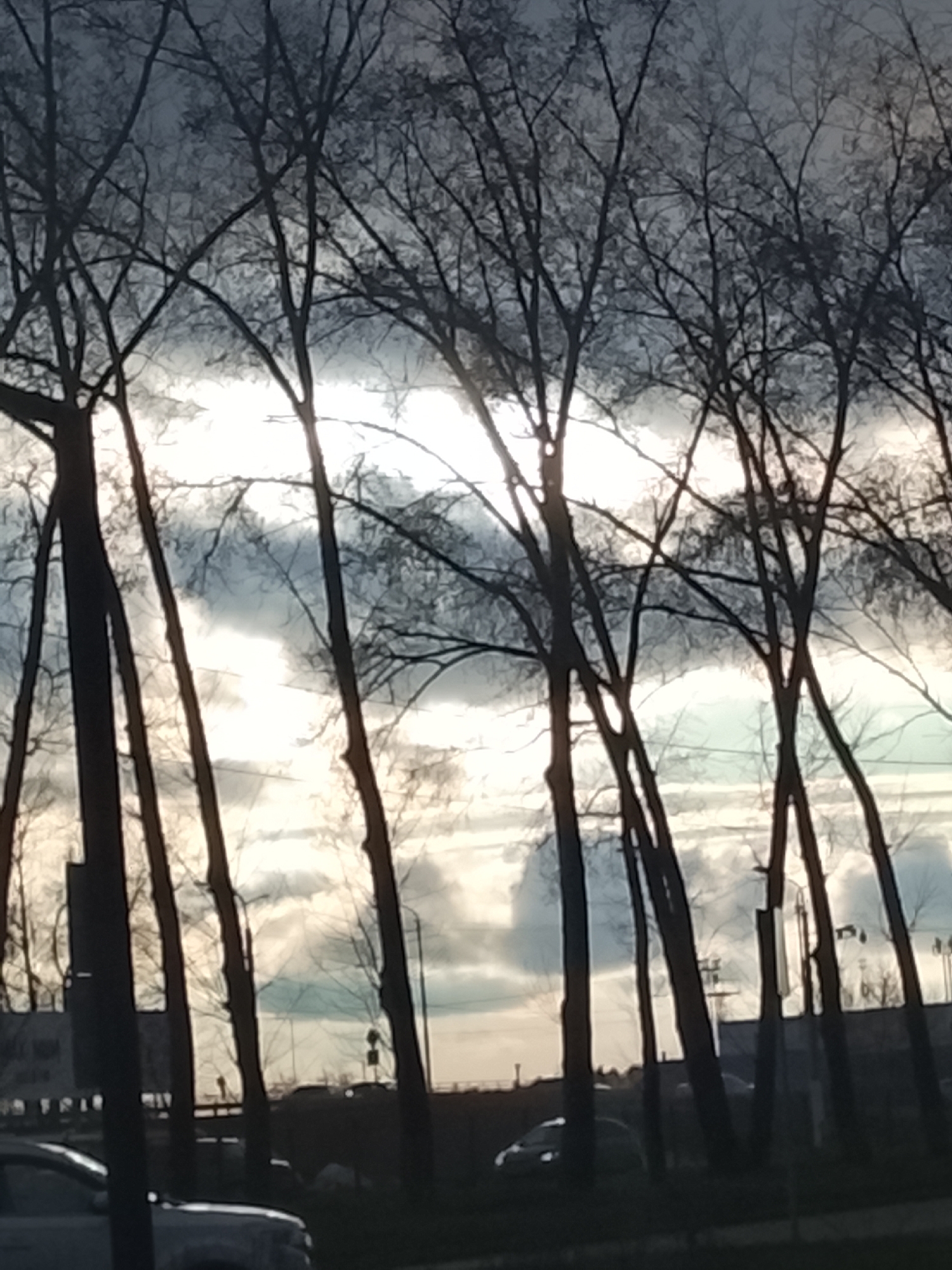 The image captures a scene dominated by a dense line of bare trees, their intricate, dark branches and trunks silhouetted sharply against a bright, cloudy sky. The trees, characteristic of winter or early spring, span the entire width of the frame, with several prominent trunks rising vertically from the bottom edge.
The sky is a mixture of bright, almost white, luminous clouds, particularly in the middle and right-hand sections where a strong light source (likely the sun) is breaking through, and darker, muted gray clouds overhead. This contrast creates a dramatic backlighting effect.
In the lower portion of the image, the dark, indistinct shapes of vehicles are visible, suggesting a roadside or parking area. A lighter-colored car is partially visible on the bottom left. Beyond the immediate line of trees, hints of an urban or industrial environment can be seen, including dark, rectangular structures on the left and various poles or distant buildings in the background.
The time of day appears to be either late afternoon or early morning, characterized by the strong backlighting. The weather is overcast with bright patches, creating a somewhat melancholic or serene atmosphere. There is no discernible specific activity taking place, and no visible text is legible. The scene is set in an urban or semi-urban landscape in Chaikovsky, Russia.