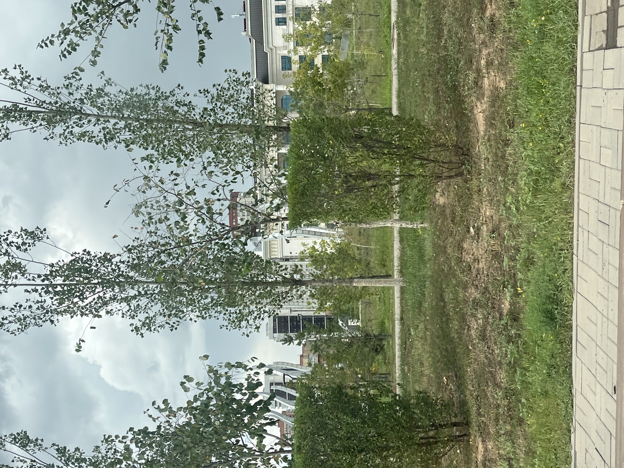 The image shows a public park area in Astana, Kazakhstan, with several trees and manicured bushes in the foreground. A paved walkway is visible at the bottom of the frame. In the background, modern architectural buildings are present, suggesting an urban setting. The sky is overcast with clouds. There are no people or animals in the frame. The scene depicts a well-maintained outdoor space with a mix of natural elements and contemporary architecture.