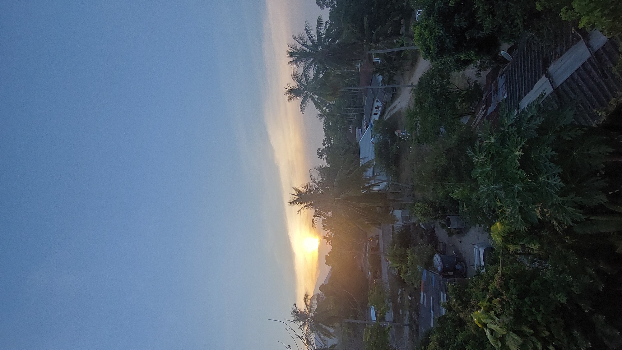 The image captures a serene, panoramic view of a tropical rural landscape, likely at sunrise or sunset in Baan Mae Nam, Thailand. The sky, predominantly clear blue at the top, transitions to a vibrant gradient of yellow and orange hues near the horizon, where the sun is visible as a bright, glowing orb, partially obscured by distant foliage.
Numerous coconut palm trees and other dense, leafy green trees dominate the mid-ground and foreground, some appearing as dark silhouettes against the bright sky, others showing their detailed foliage. These trees are interspersed with simple houses featuring corrugated metal roofs, suggesting a village or residential area. On one roof, a satellite dish is clearly visible.
A dirt road or path winds through the scene, partially visible between the houses and trees. In the foreground, through the shadows of the trees, a water well or cistern can be discerned, along with what appears to be a parked vehicle or machinery. The overall atmosphere is peaceful, bathed in the warm, soft light of either dawn or dusk, highlighting the natural beauty of the tropical setting. There is no visible text or explicit human activity taking place.