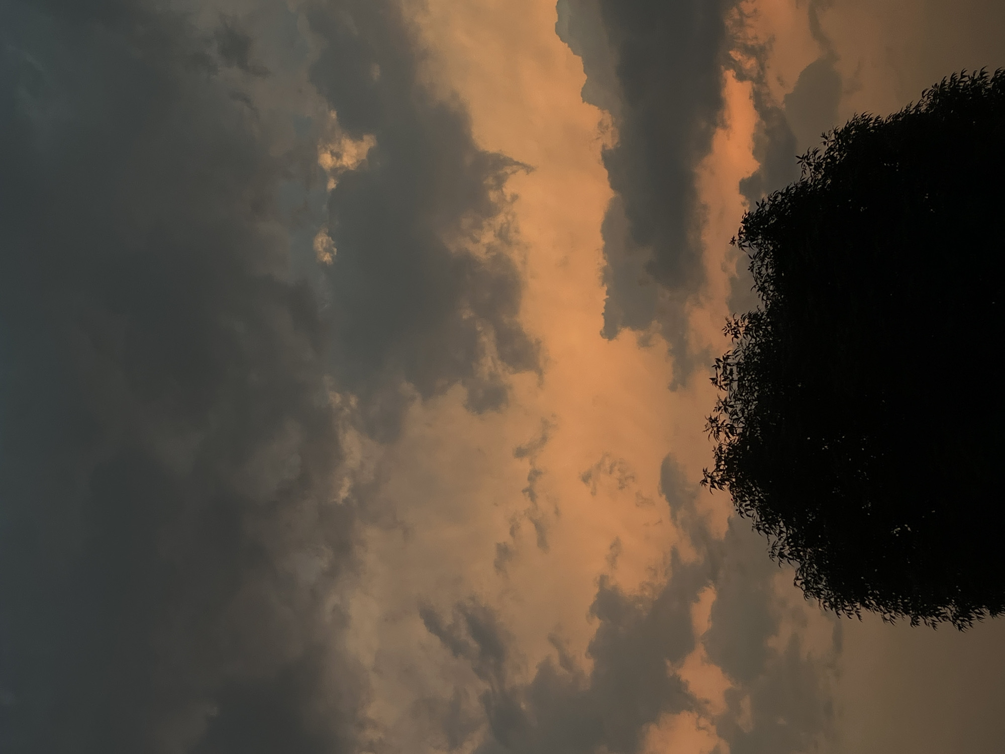 The image shows a sky at dusk with dark clouds and an orange glow, likely from the setting sun. In the lower right, a dark, silhouetted mass suggests a tree or large bush. The location appears to be an urban area based on the surrounding darkness and general lack of distinctive features. Specific details about the city or exact location are absent.