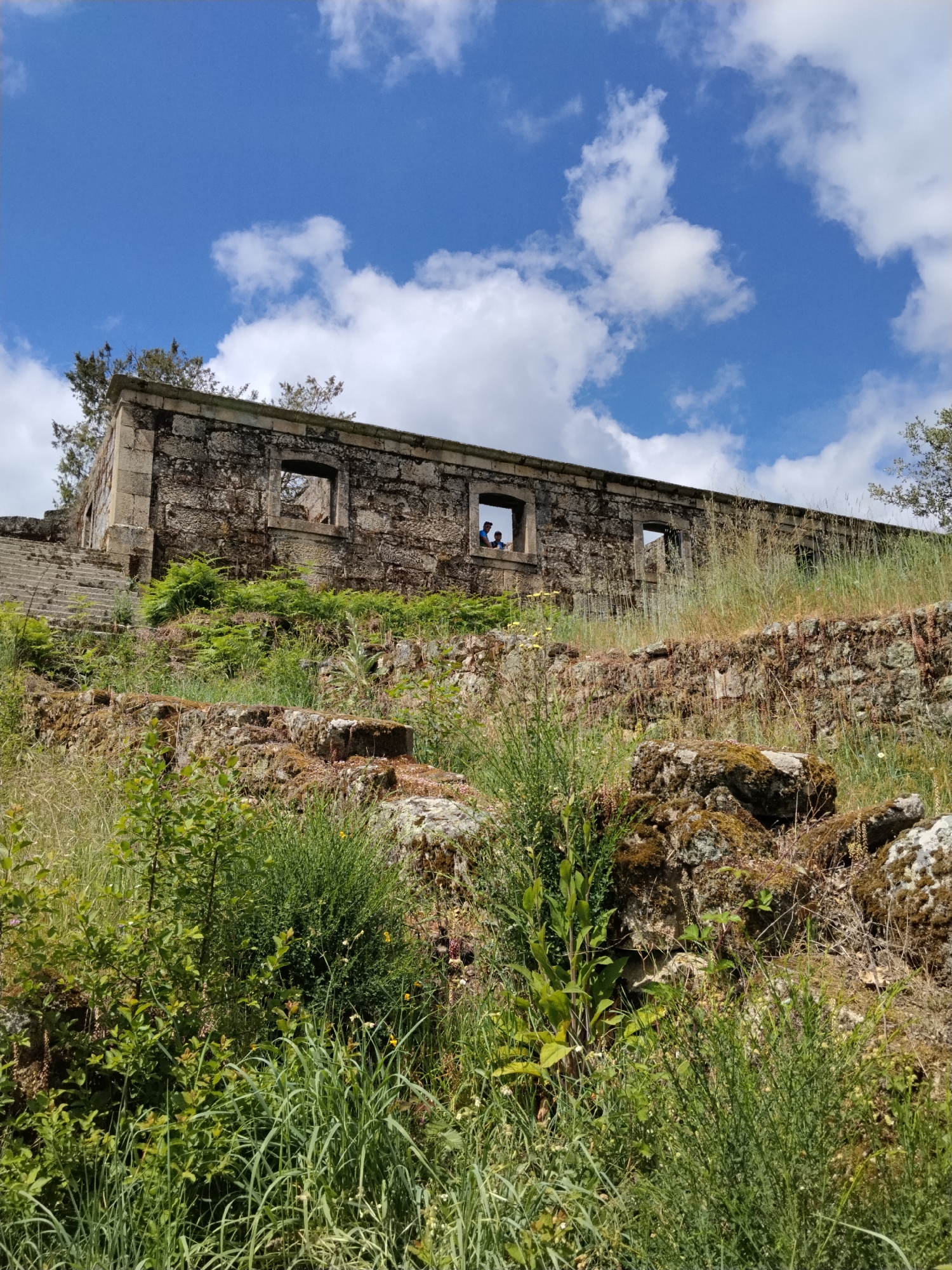 This vertical shot captures the ruins of a historic stone building nestled on a vegetated hillside under a bright blue sky. The main subject is an ancient, weathered stone structure, likely part of a larger complex, characterized by rough-hewn stone blocks and several rectangular window openings that lack glass or frames. On the far left, a stone staircase ascends towards the building.
Within one of the central window openings, two individuals are visible, peering out. Their figures are silhouetted against the bright exterior, suggesting they are inside the old structure.
The foreground and midground are densely covered with wild vegetation, including tall green grasses, ferns, various bushes, and small leafy trees, creating a natural, somewhat unkempt appearance. Moss-covered rocks and crumbling stone foundations are interspersed among the plants.
The sky above is a vibrant blue, dotted with fluffy white cumulus clouds, indicating fair weather. The lighting suggests it is daytime, likely late morning or early afternoon. The overall scene conveys a sense of history, nature reclaiming human constructs, and quiet exploration.
The location is Tarouca, Portugal. No visible text is present in the image.