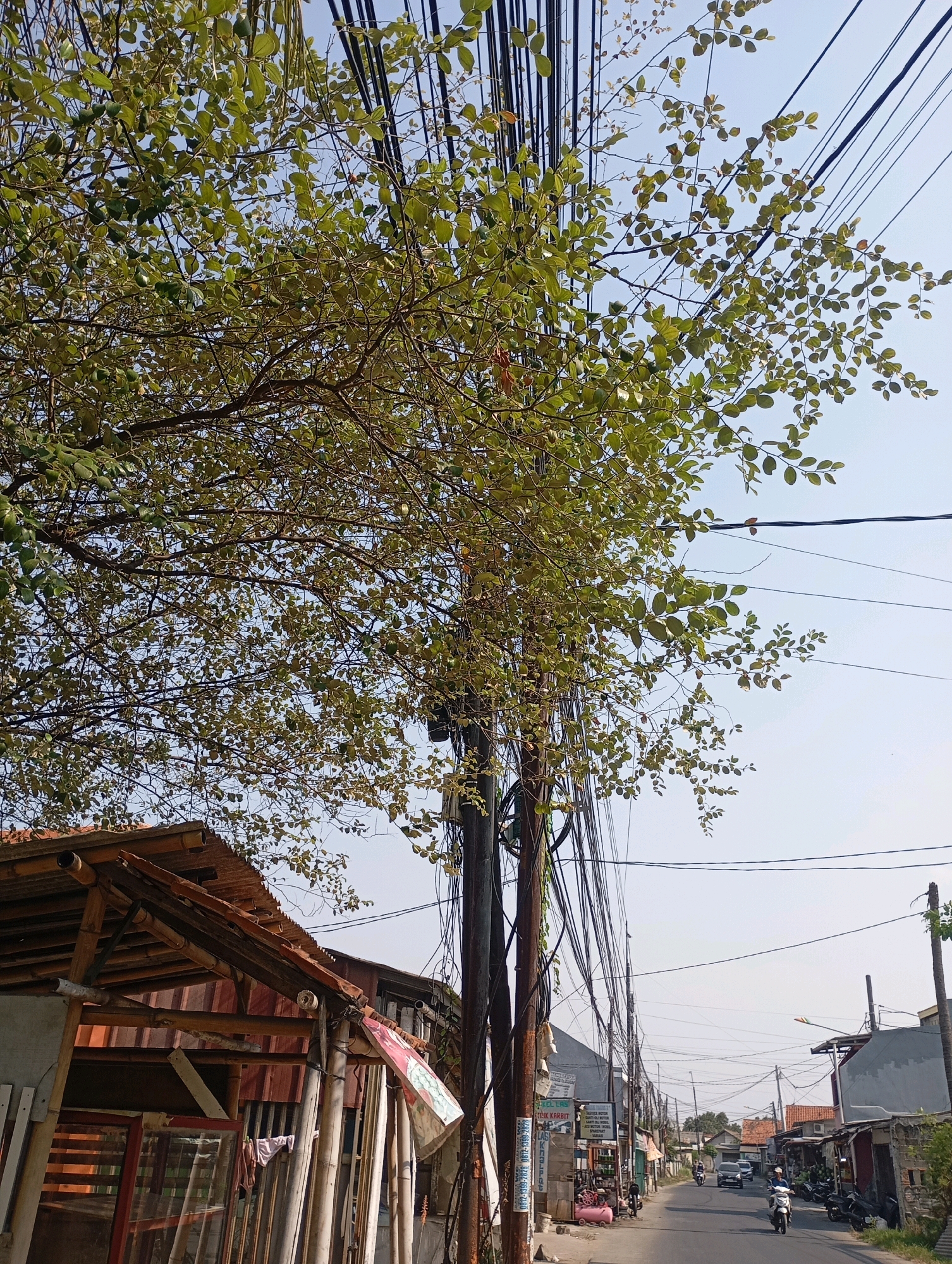 This is a street-level view in Babelan, Indonesia, featuring a tree with lush green foliage and numerous overhead electrical wires. The scene depicts a road with several buildings on either side. To the left, a rustic wooden structure with a corrugated metal roof is visible, containing what appears to be merchandise displayed behind glass. Further down the road, a variety of shops and houses line the street, with parked motorcycles and several vehicles on the road. The sky is clear and blue. The image captures a typical urban or semi-urban environment in Indonesia, characterized by dense utility infrastructure and local businesses.