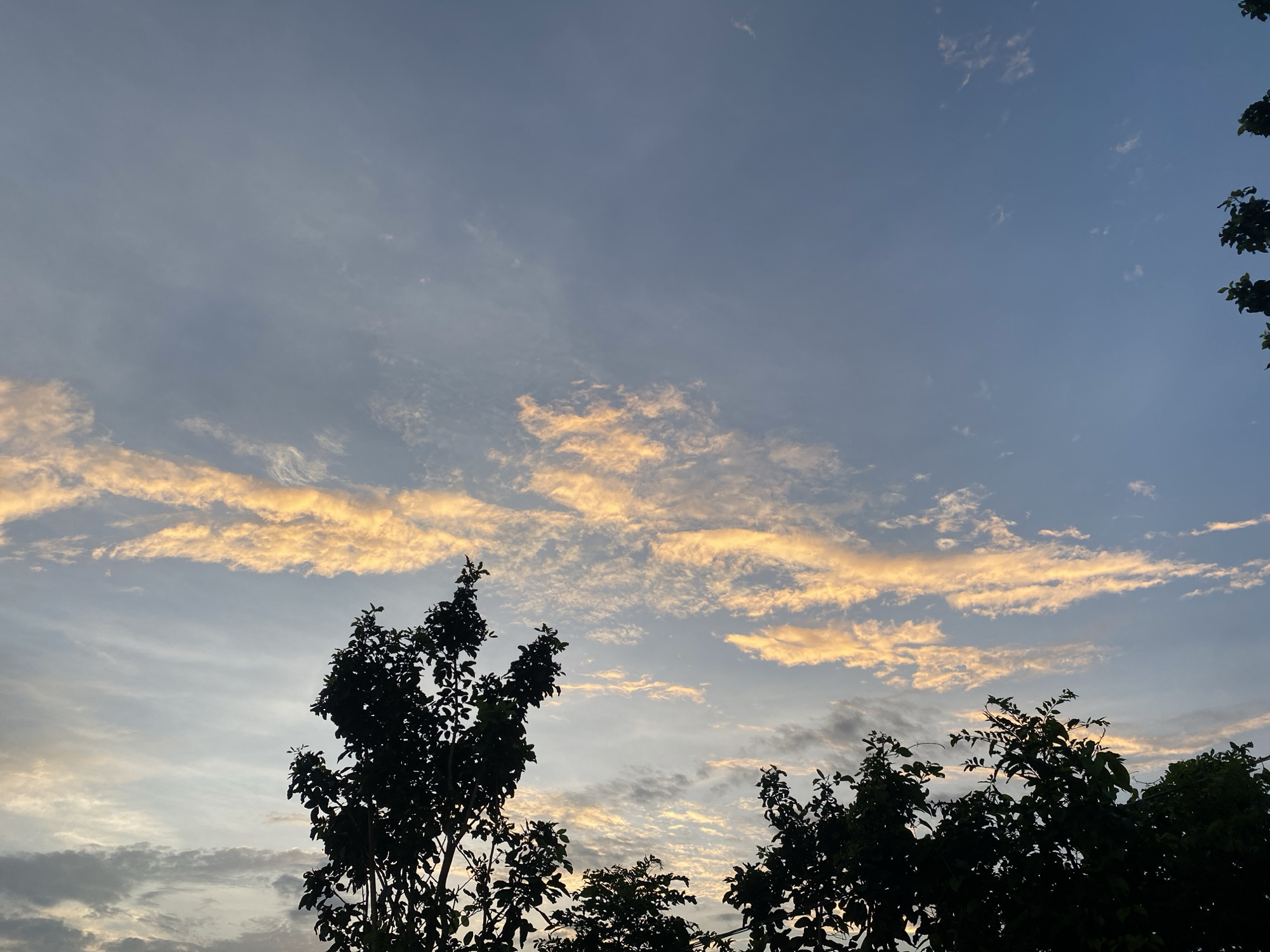 The image depicts a silhouetted view of trees against a sky during what appears to be sunrise or sunset. The sky is a gradient of blue and gray, with streaks of warm orange and yellow clouds, suggesting the sun is low on the horizon. The tops of several trees, with dark foliage, are visible in the foreground, framing the sky. The scene is likely outdoors in a natural setting, possibly on the outskirts of Unwana, Nigeria, given the vegetation and atmospheric conditions. No people or specific man-made structures are discernible.