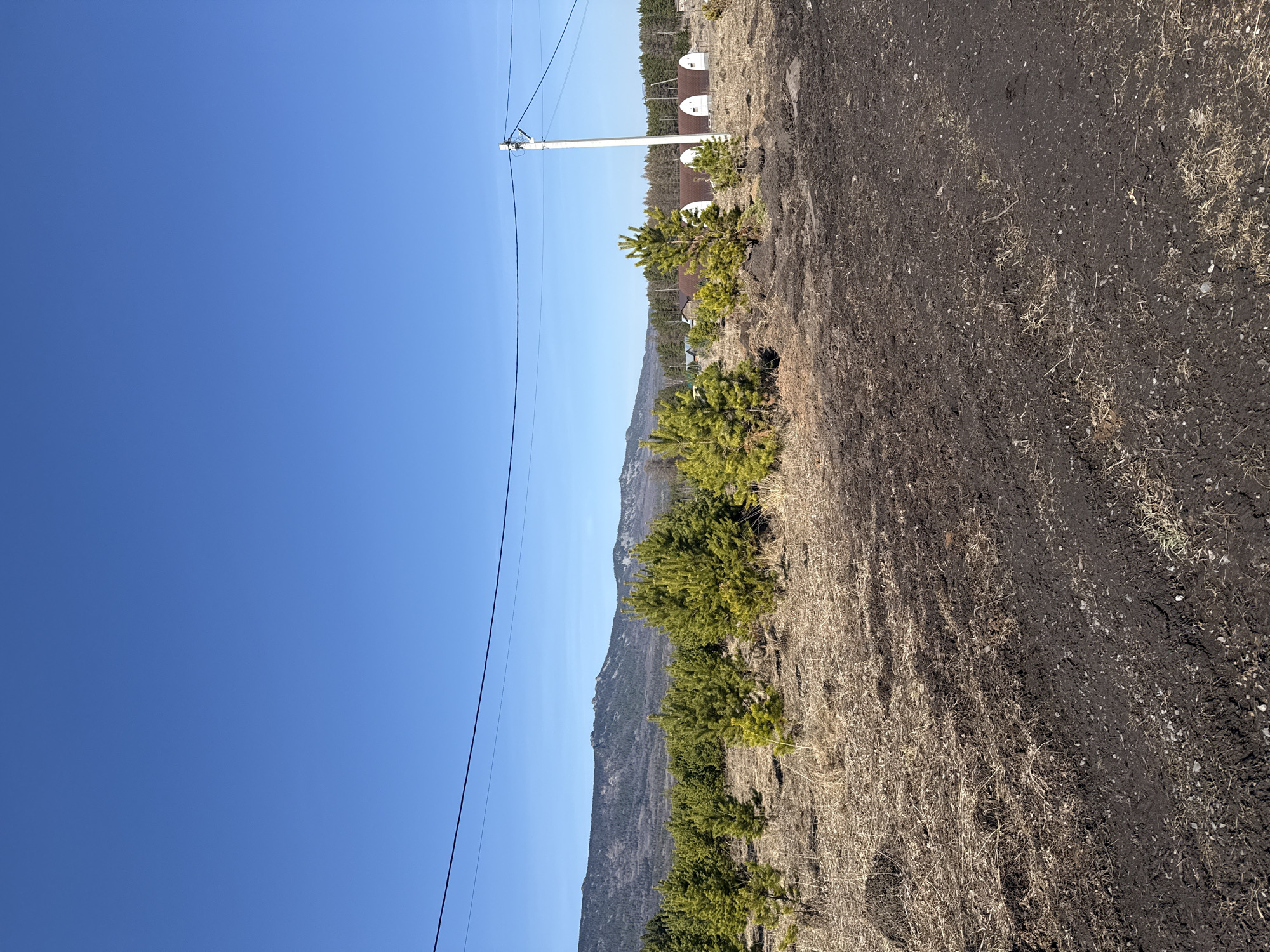 The image depicts a landscape with a clear blue sky occupying the left half. A white utility pole with power lines extends across the sky. In the middle ground, there are green trees and a mountain range in the background. To the right, there is a mix of dry grass and dark soil. Several white satellite dishes are visible in the background, next to a reddish-brown building. The location is inferred to be in or near the city of Tyulyuk, Russia.